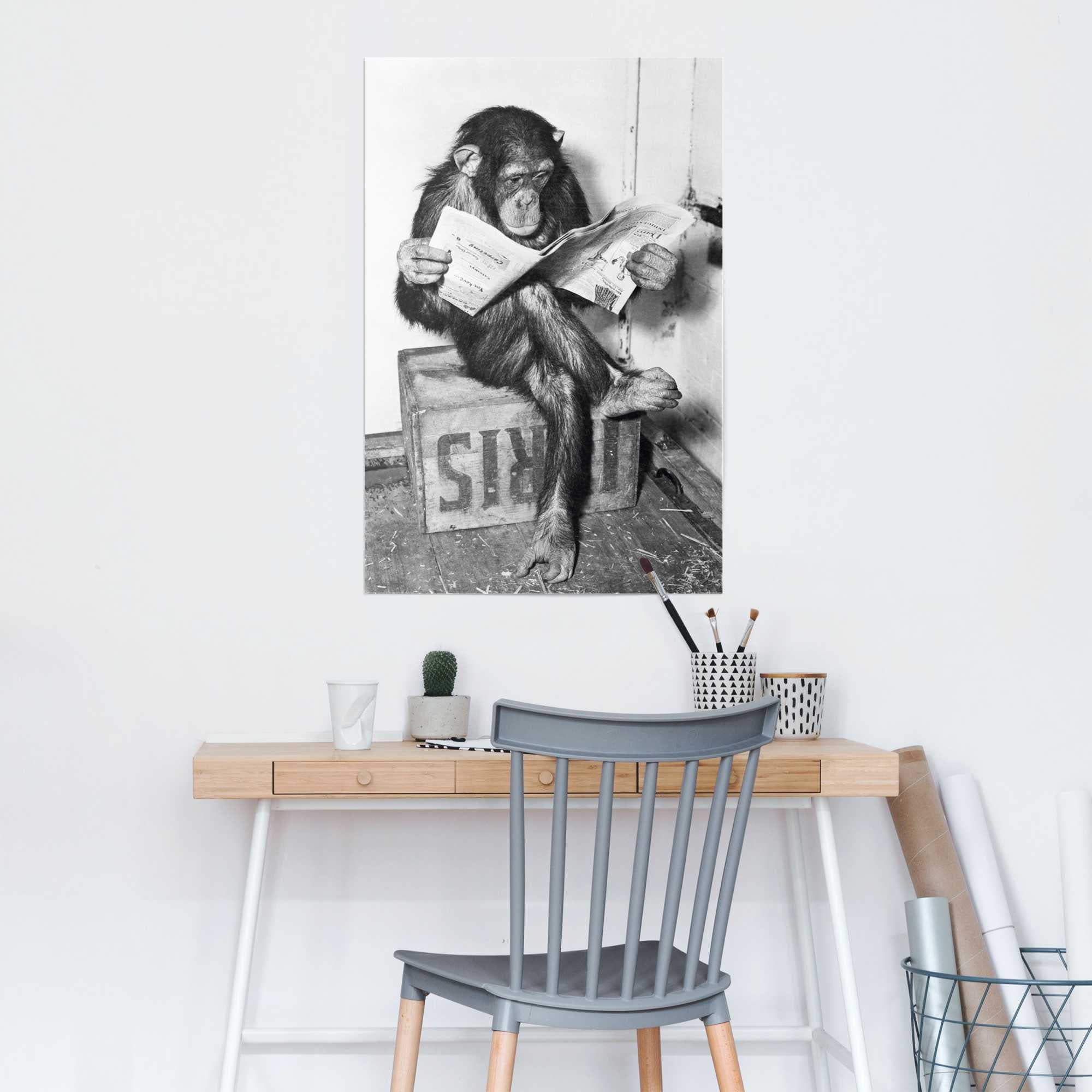 Reinders "Chimp Zeitung Affe Schimpanse" 1 tlg. günstig online kaufen