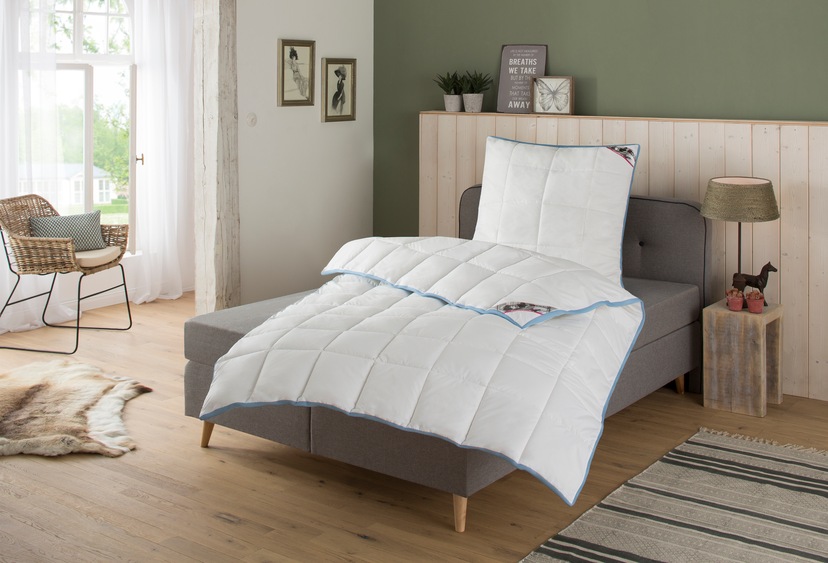 BeSports Bettdecke Hohenstein kaufen BAUR (Spar-Set, aus Klimakomfort 4-Jahreszeitenbettdecke Premium«, Kissen!), einem \