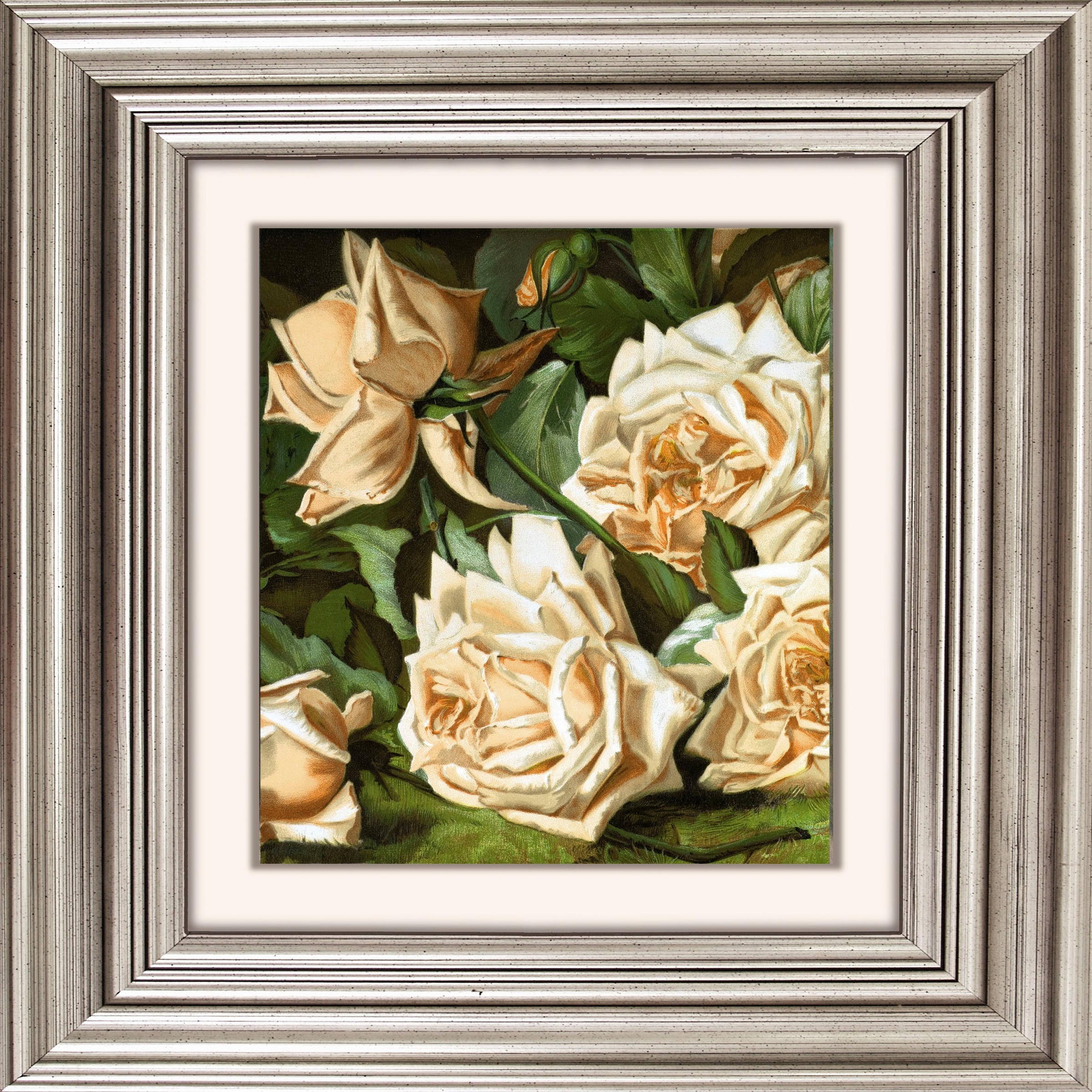 Acrylglasbild Rosen Auf Rechnung Kaufen Baur