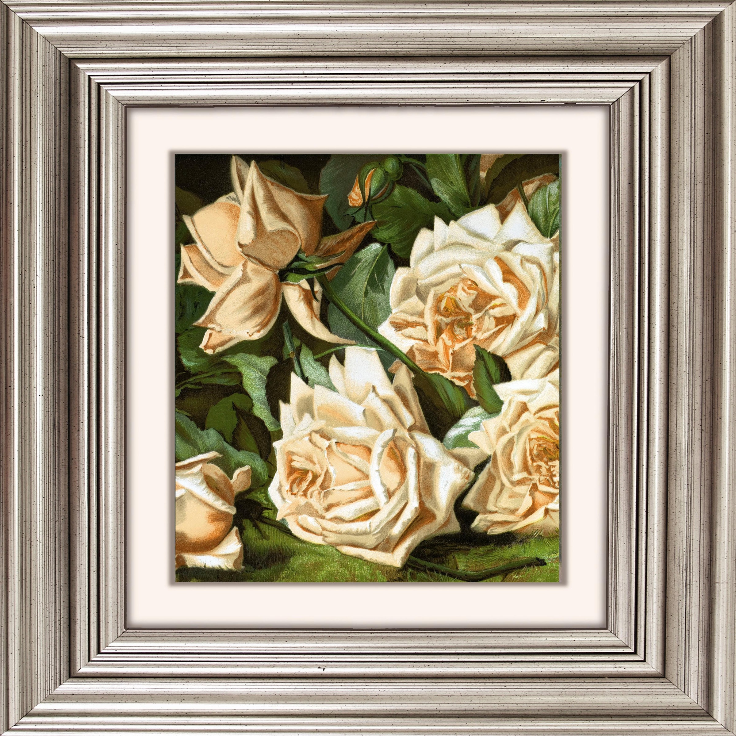 queence Acrylglasbild "Rosen", Blumen-Blumenbilder-Kunst-Pflanzen-Pflanzenb günstig online kaufen