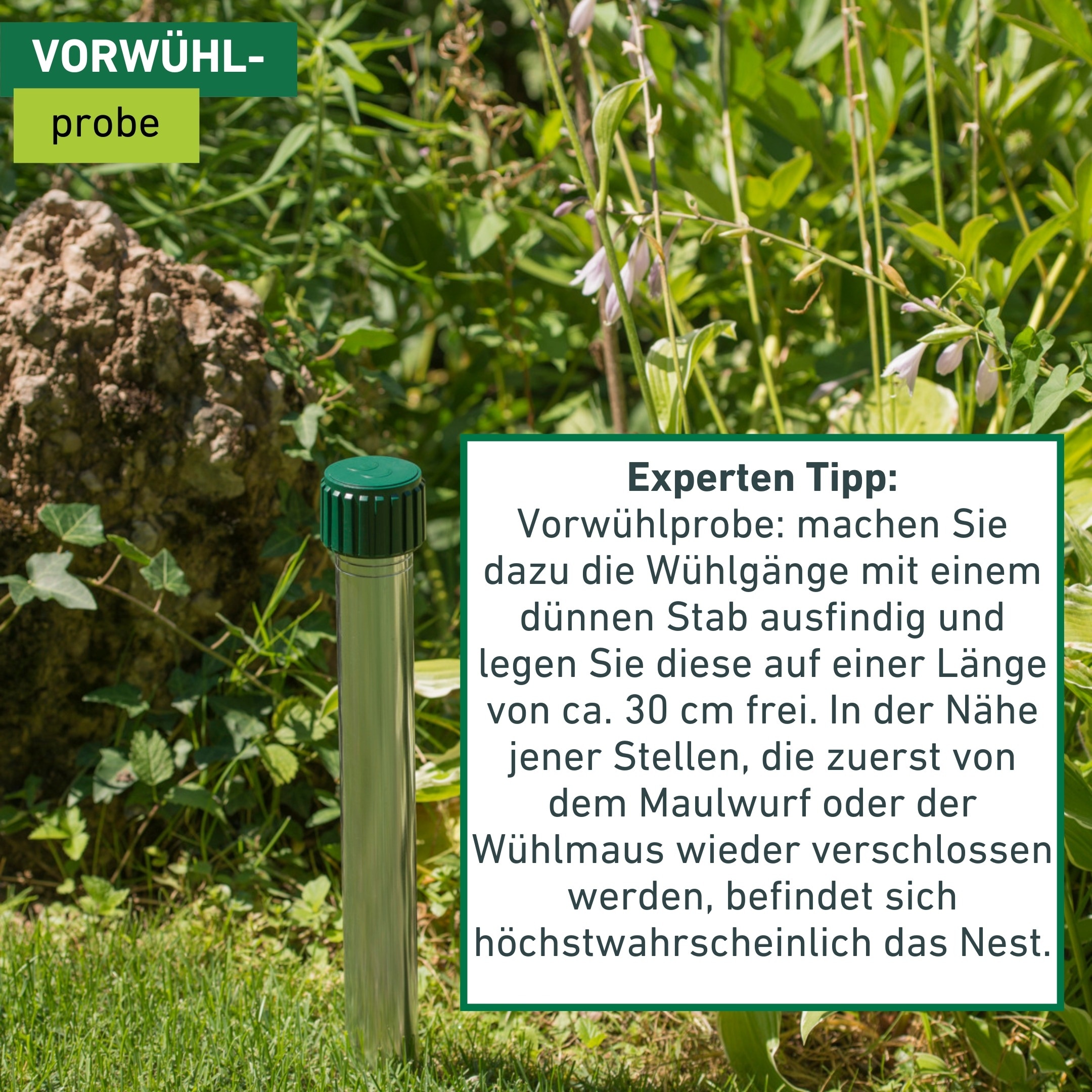 Windhager Ultraschall-Tierabwehr »Maulfwurfschreck und Wühlmausvertreiber Aluminium, batteriebetrieben« Wirkungsbereich 800 m² mit niederfrequenten Schallwellen