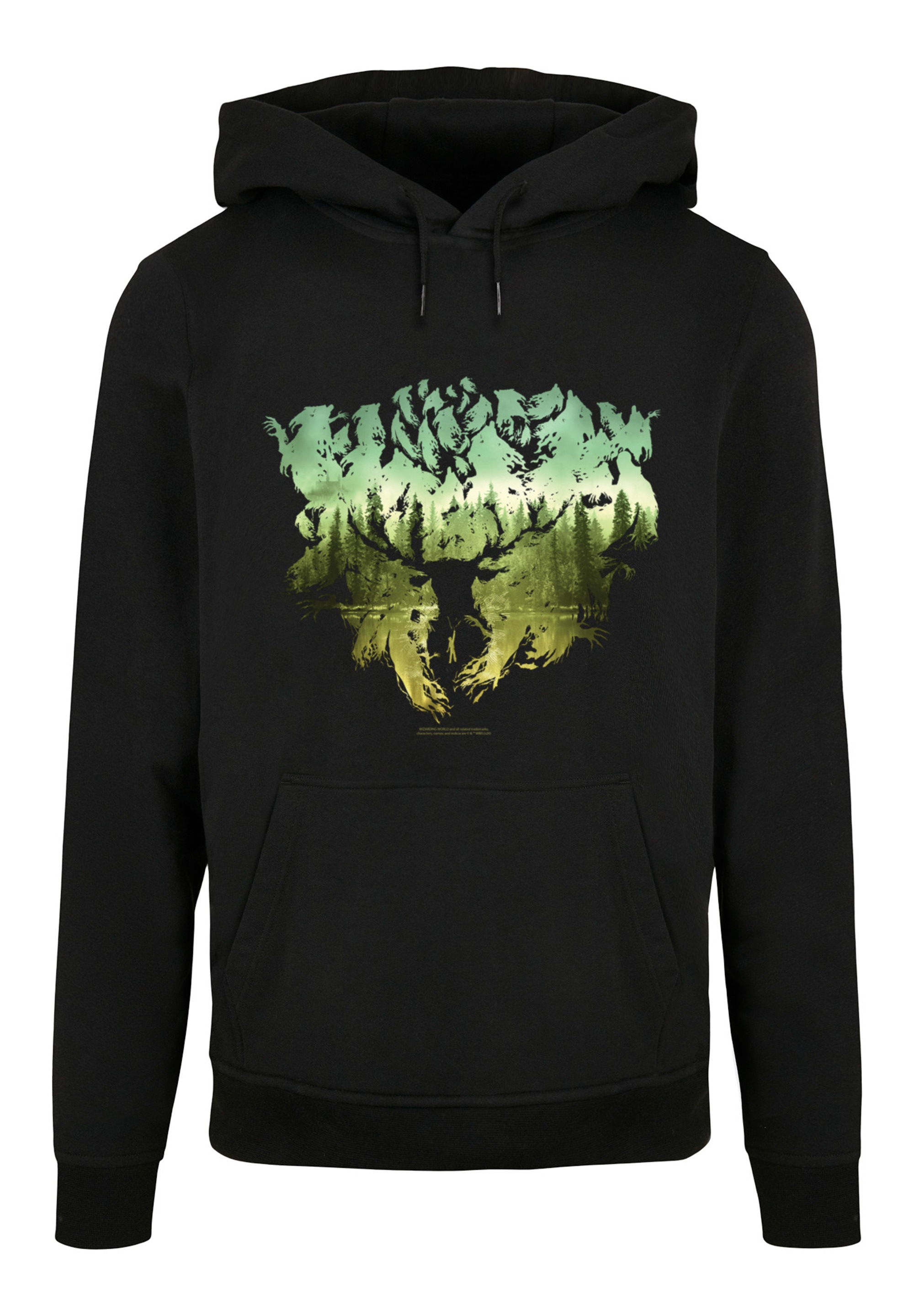 F4NT4STIC Kapuzenpullover »Harry Potter Magical Forest«, Print