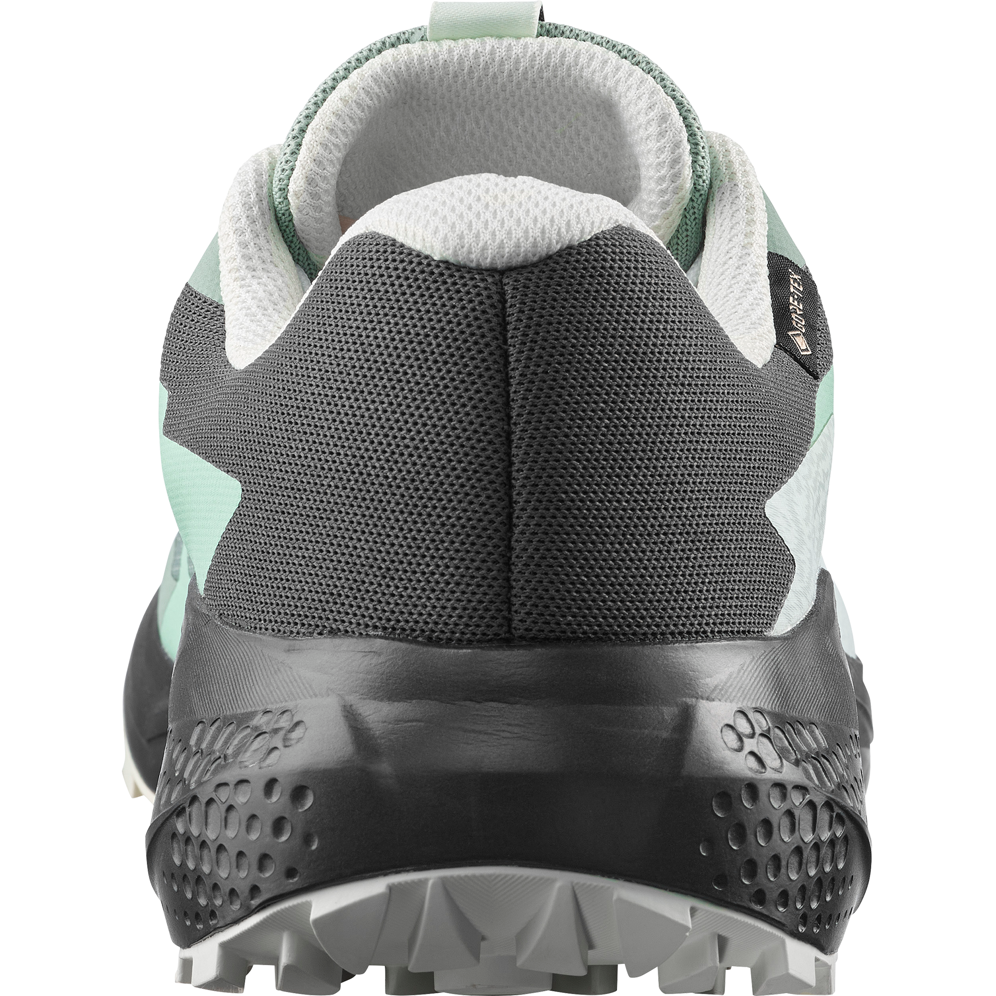 Salomon Trailrunningschuh »ALPHAGLIDE GTX W«  wasserdicht
