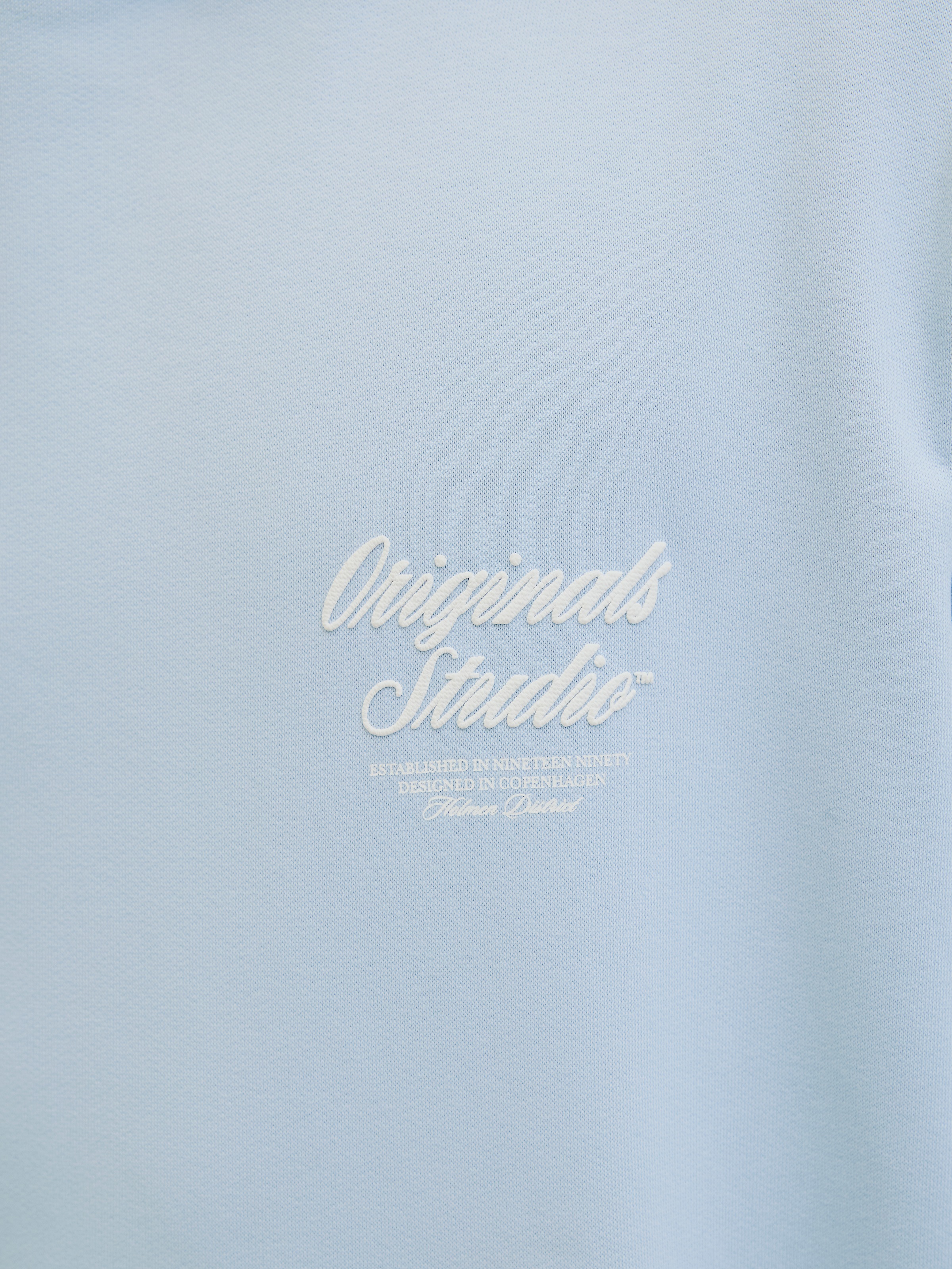 Jack & Jones Kapuzensweatshirt »JORNORREBRO TYPO BACK SWEAT HOOD SN«, mit Print
