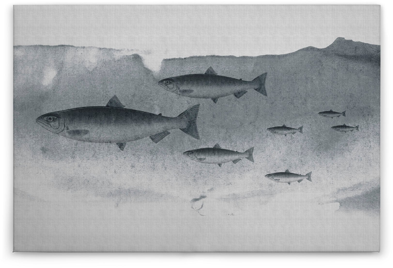 A.S. Création Leinwandbild »into the blue 3«, Tiere, (1 St.), Keilrahmen Bild Unterwasser Welt Fische Grau