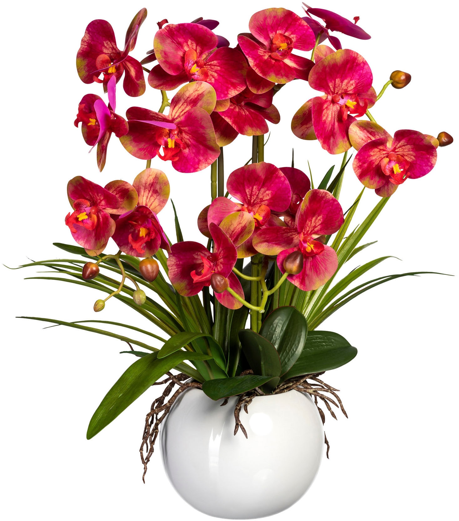 Black Friday Creativ »Phalaenopsis«, green Keramiktopf | im Kunstorchidee BAUR