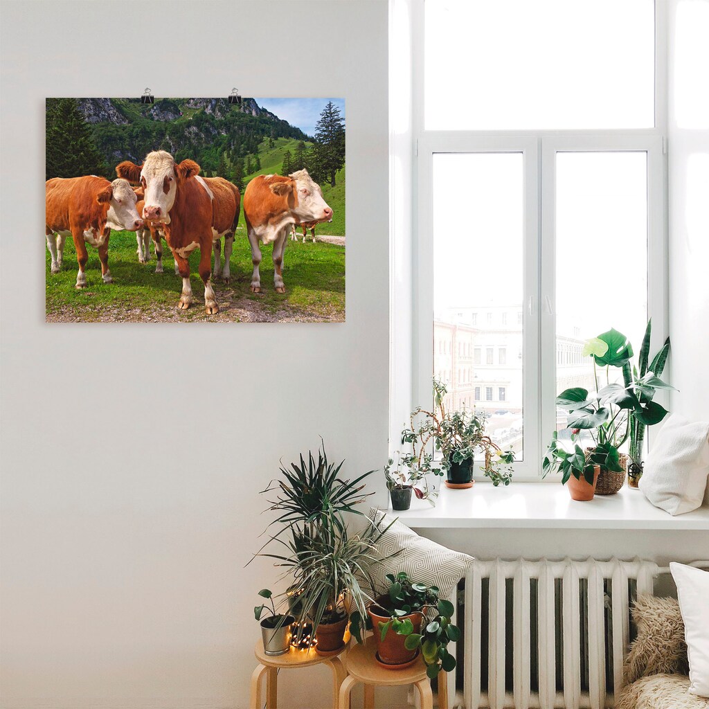 Wohnen Wohnaccessoires Artland Wandbild »Bayerische Kühe«, Haustiere, (1 St.), in vielen Größen & Produktarten -Leinwandbild, Po