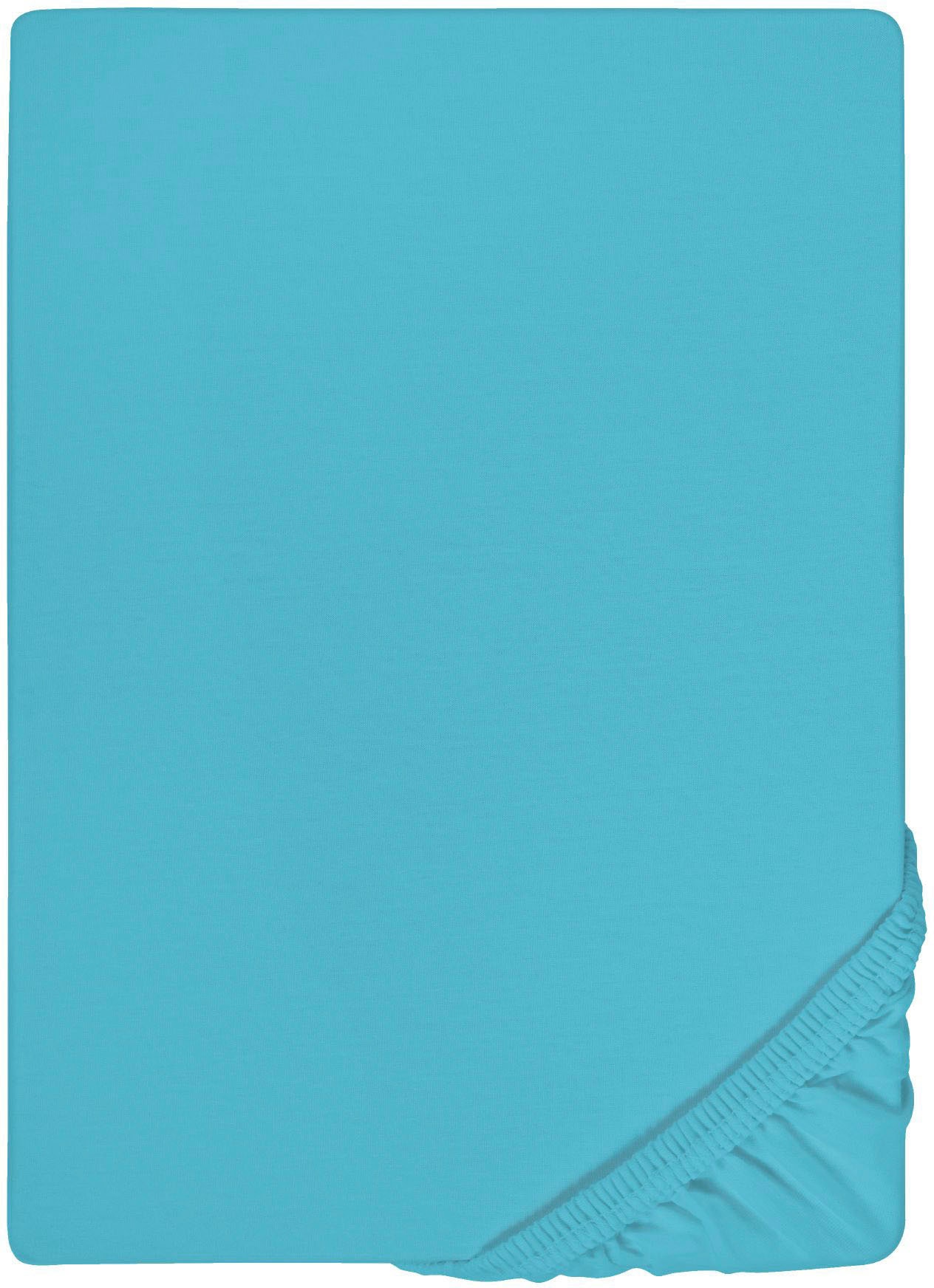 Biberna Spannbettlaken "0077866 Deluxe Jersey-Elastic Spannbetttuch 97% Baumwolle" Jersey mit Elasthan, Rundumgummi, bügelfrei, ab Größe 90 x 190 cm i