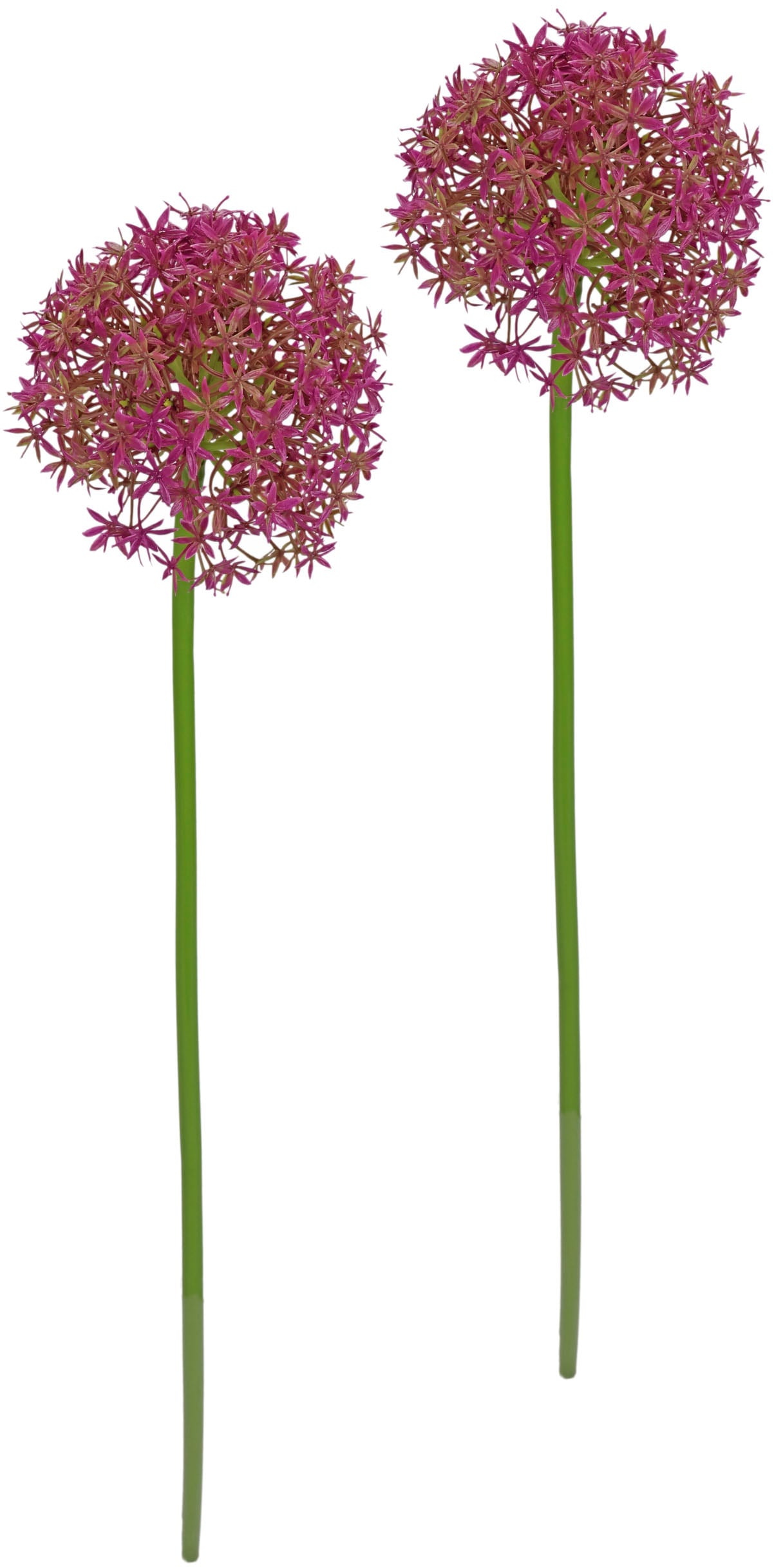 I.GE.A. Kunstblume "Allium Zierlauch", Stielblume künstliche Blumen, 2er Set