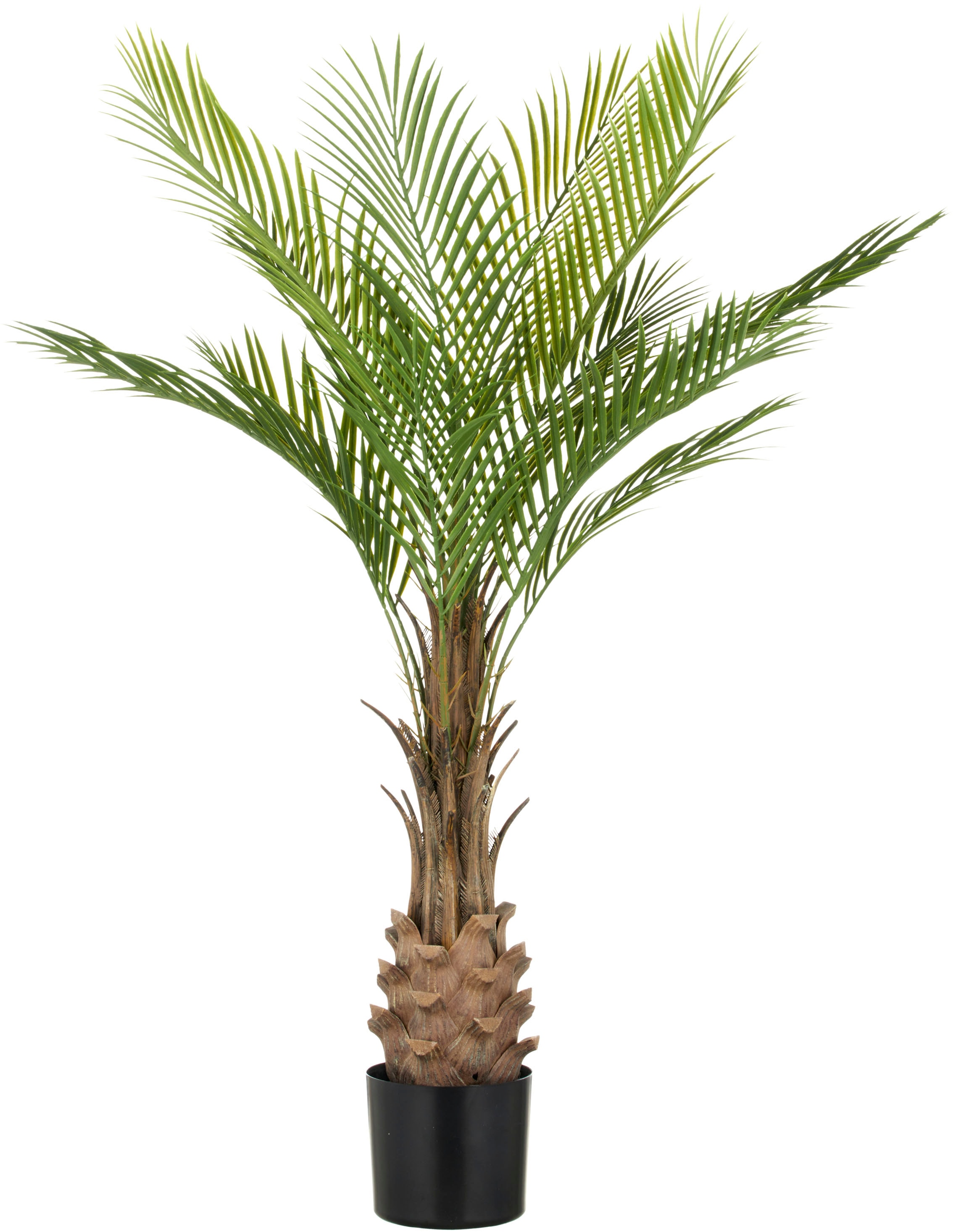 Creativ green Kunstpalme "Phönixpalme", mit naturgetreuen Palmwedeln günstig online kaufen