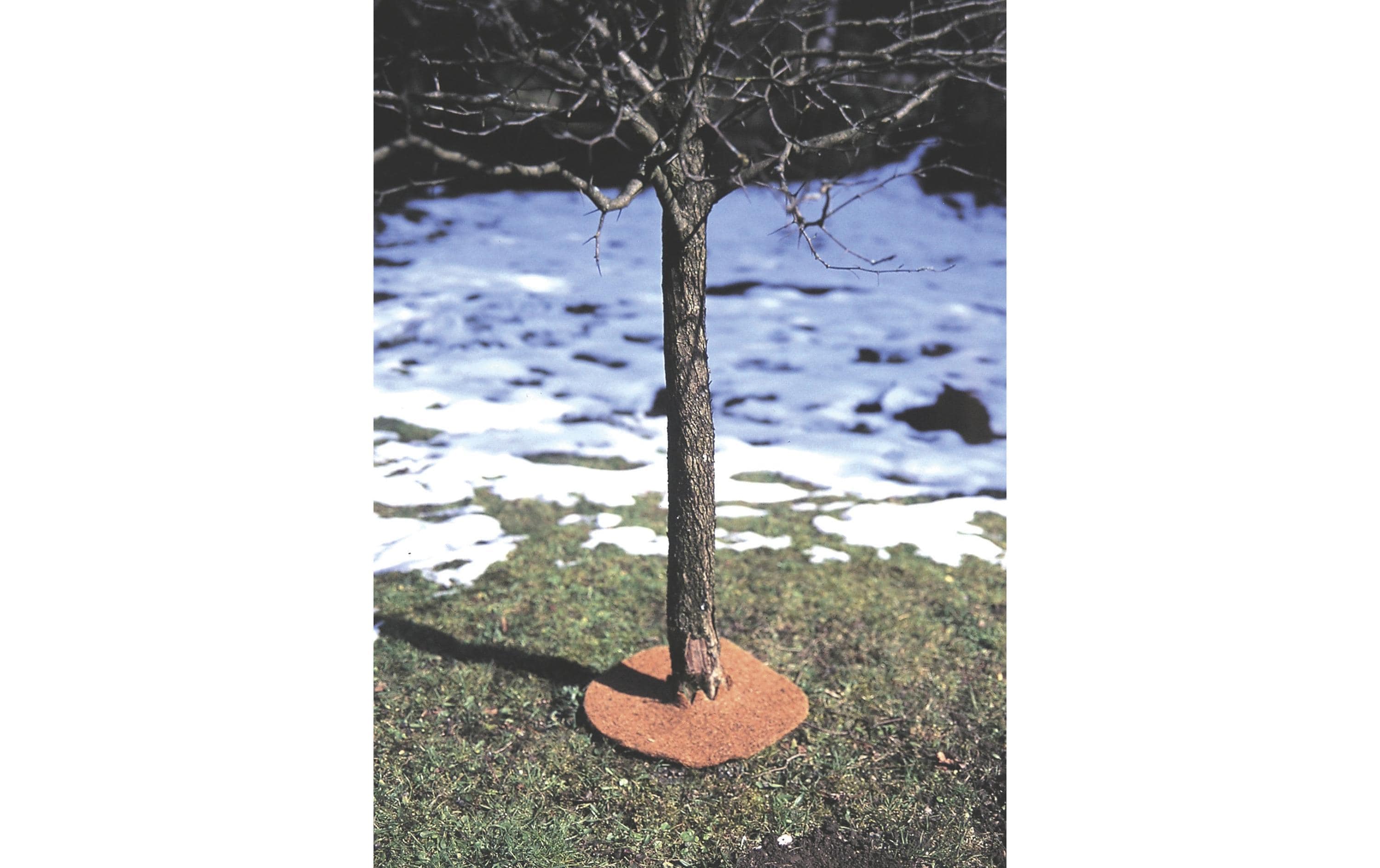 Baur Versand DE