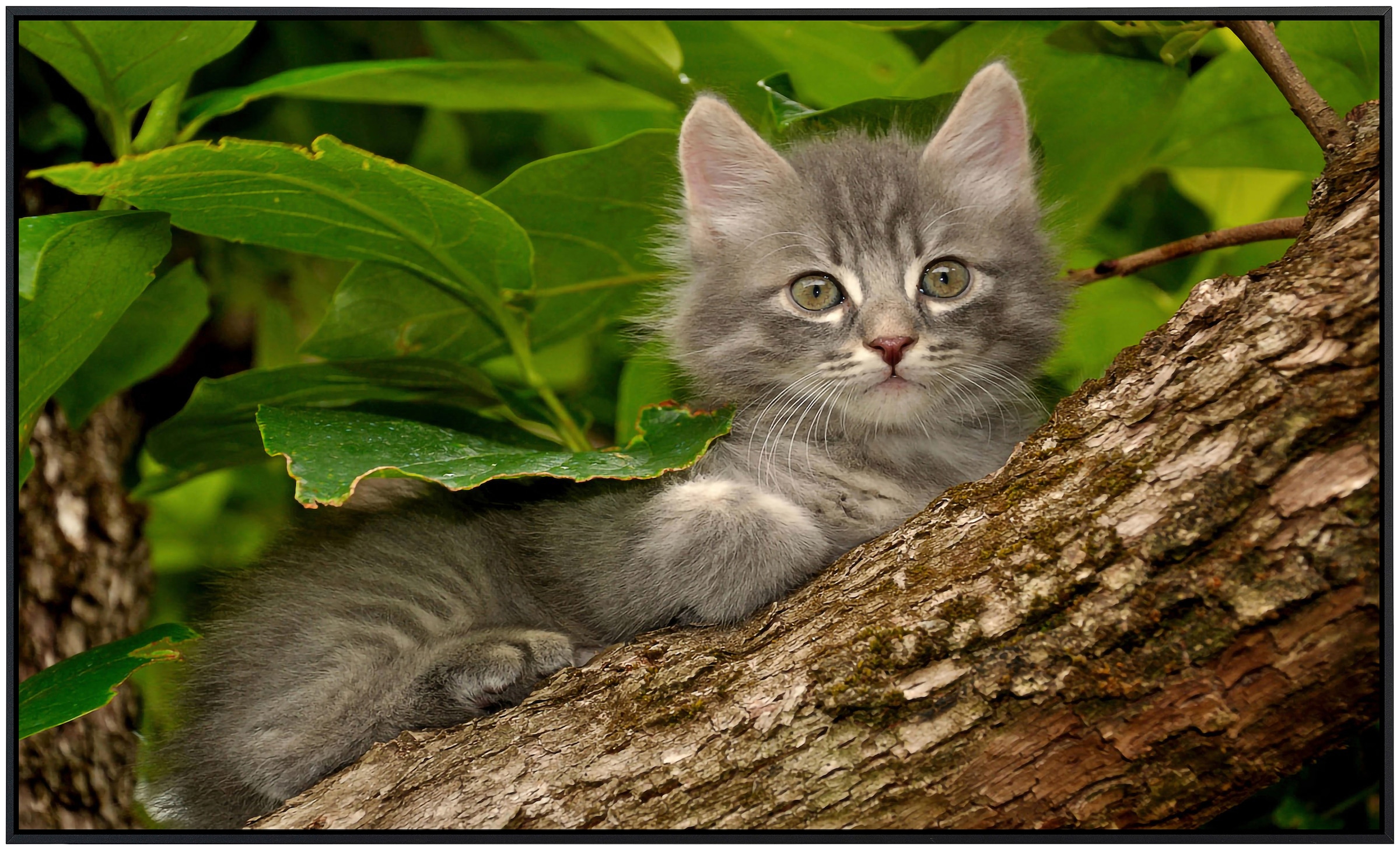 Papermoon Infrarotheizung »Katze im Baum«, sehr angenehme Strahlungswärme