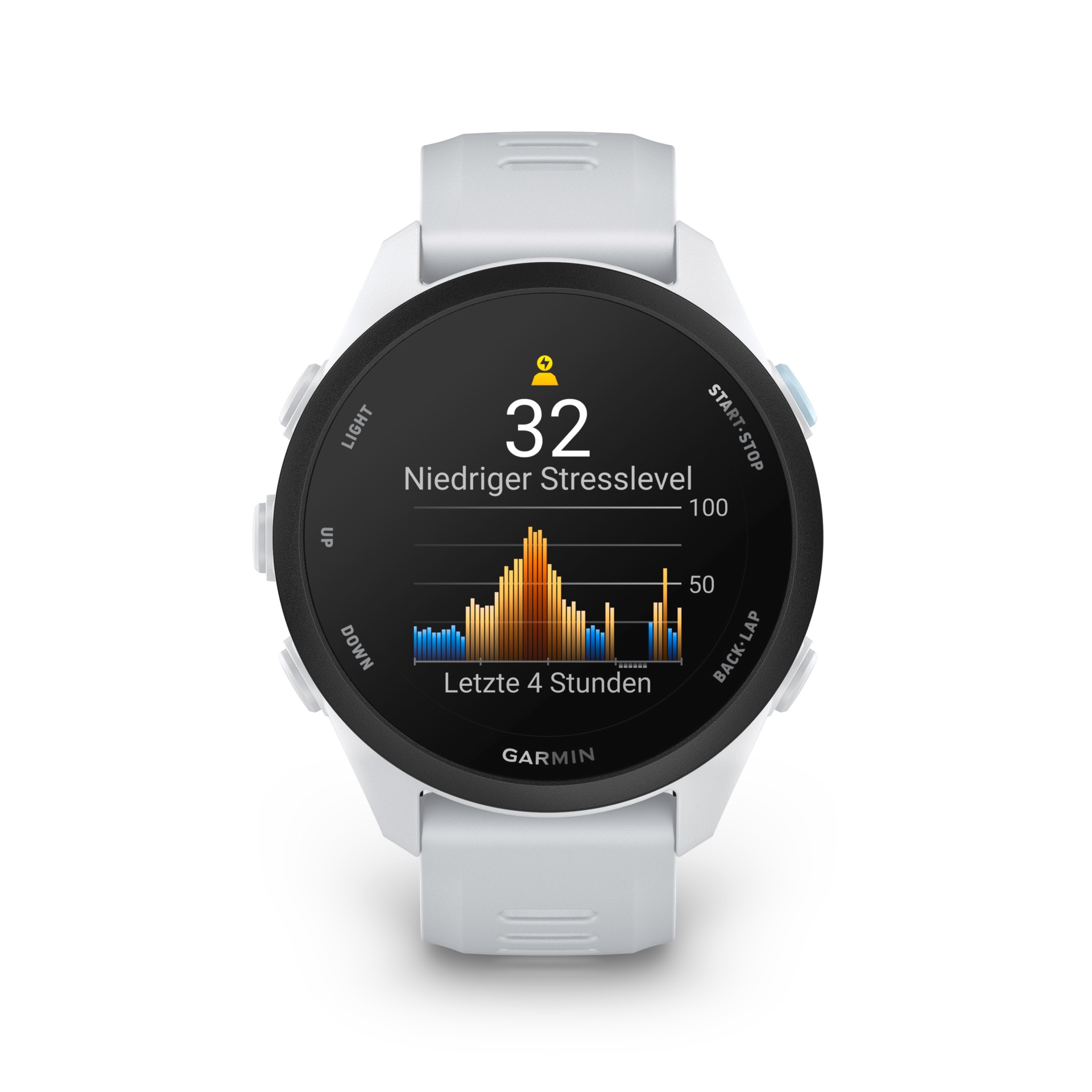 Garmin »Forerunner 70 mit Silikonarmband 20 mm«(/ 1,2 ″)