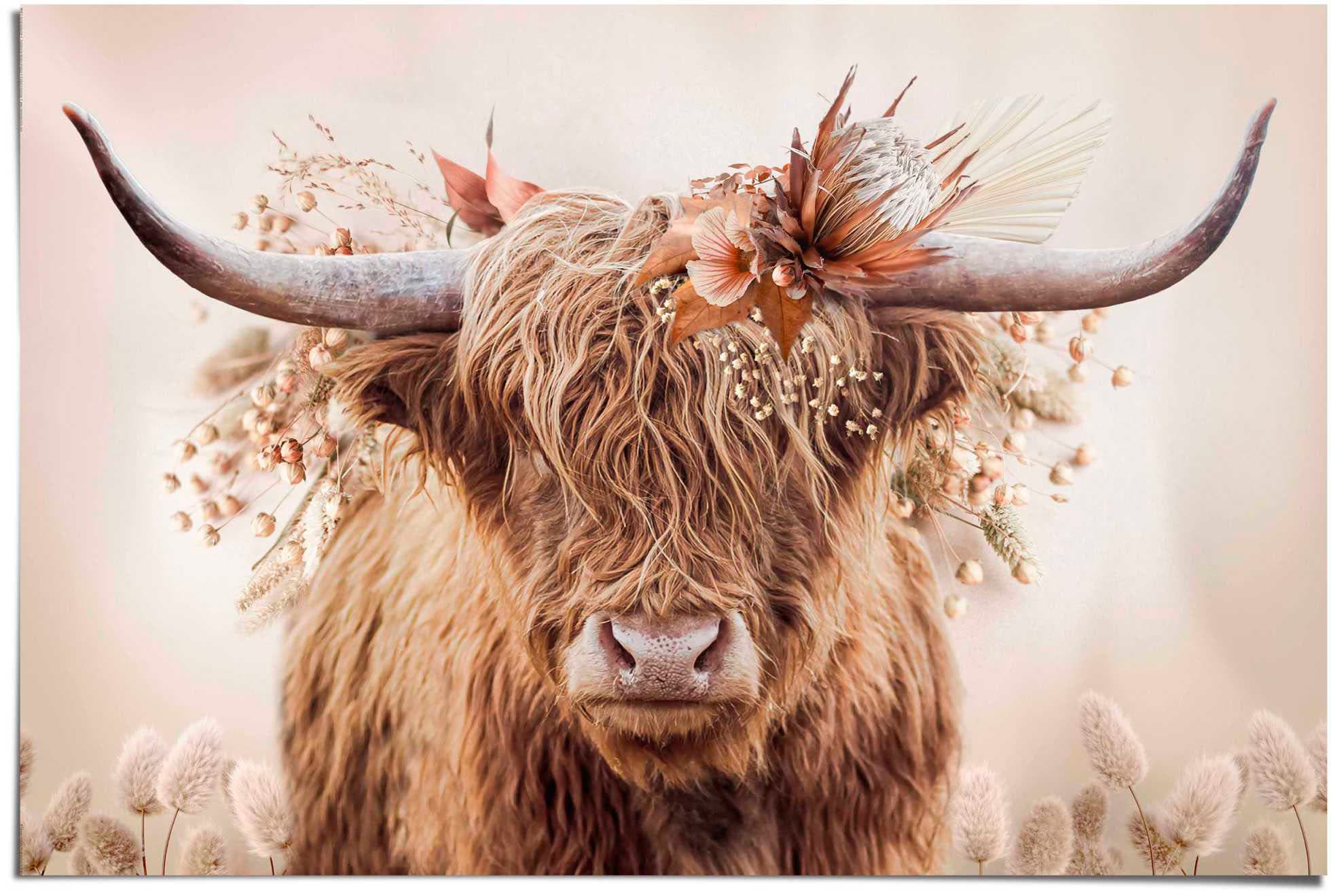 kaufen Reinders! in »Highlander Poster | Blumen« BAUR