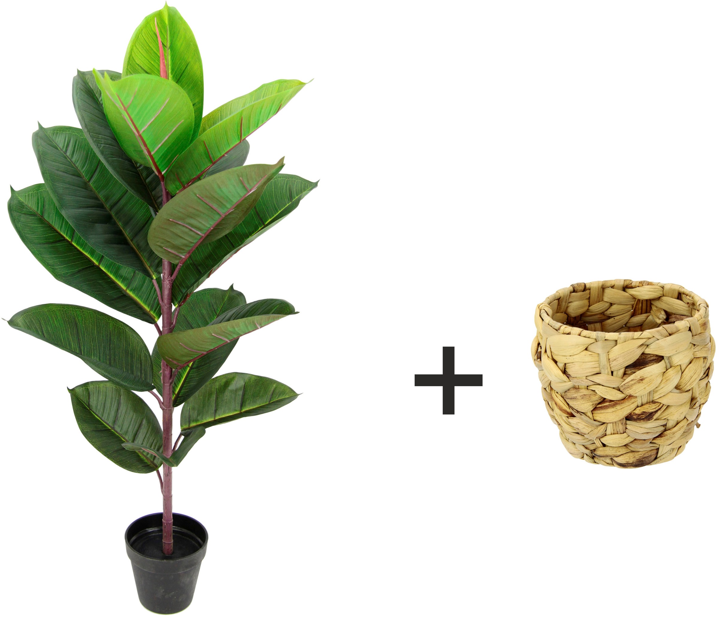 I.GE.A. Kunstbaum "Gummibaum" Mit Übertopf, Ficus Elastica günstig online kaufen