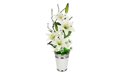 I.GE.A. Kunstpflanze »Lilien«, (1 St.) kaufen