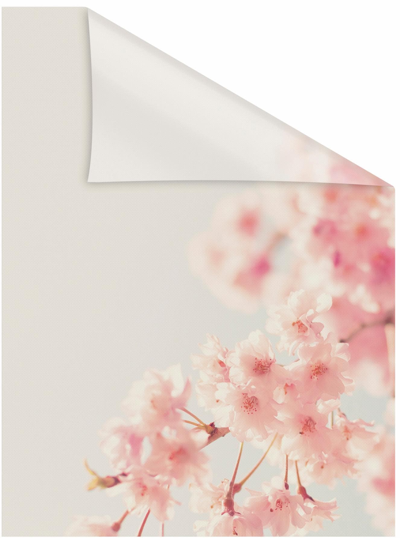 Fensterfolie, B:50cm L:100cm, orange, LICHTBLICK ORIGINAL, PVC, Badezimmer, Fensterfolien, "Kirschbaum", selbstklebend, Sichtschutz