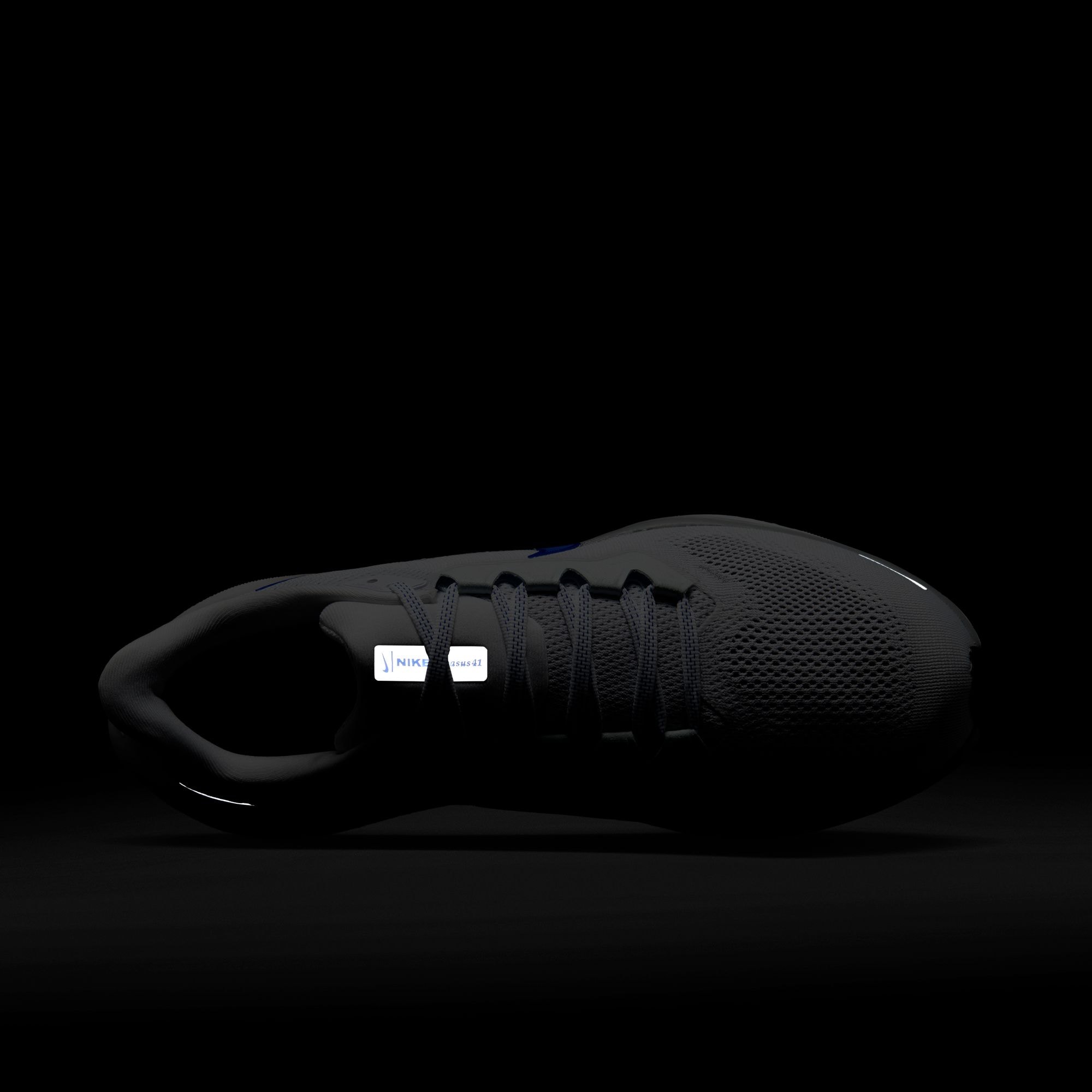 Nike Laufschuh »AIR ZOOM PEGASUS 41«