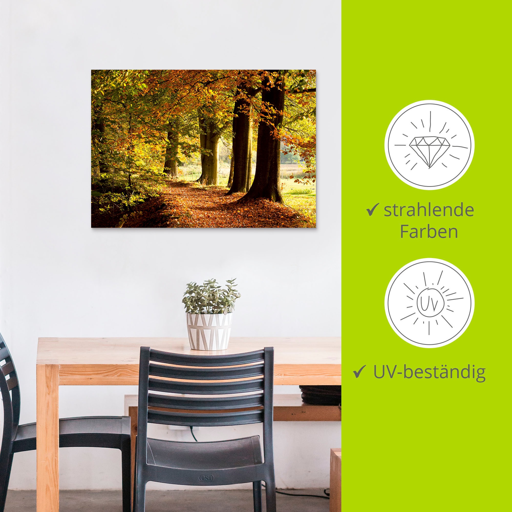 Artland Wandbild »Herbstfarben«, Bäume, (1 St.), als Alubild, Outdoorbild, Leinwandbild in verschied. Größen