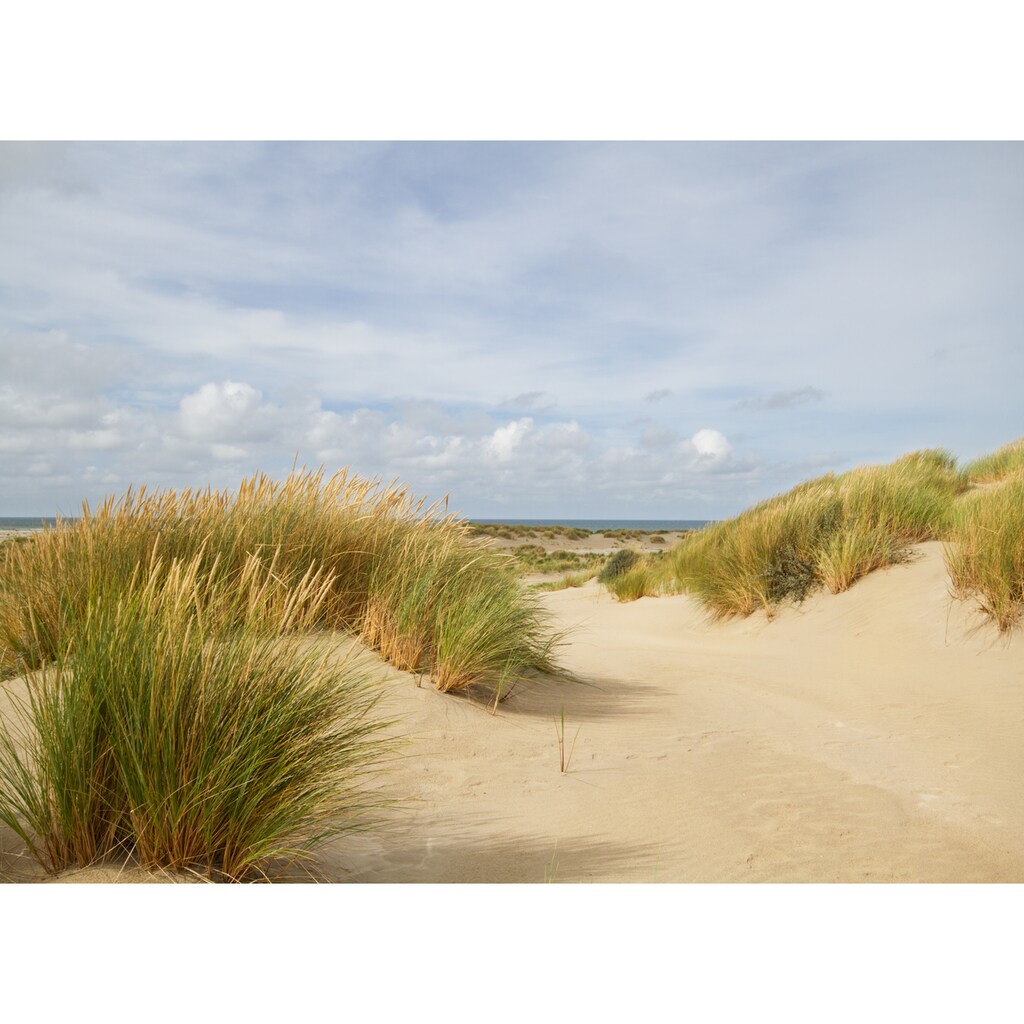 Papermoon Fototapete »Dunes Grass«