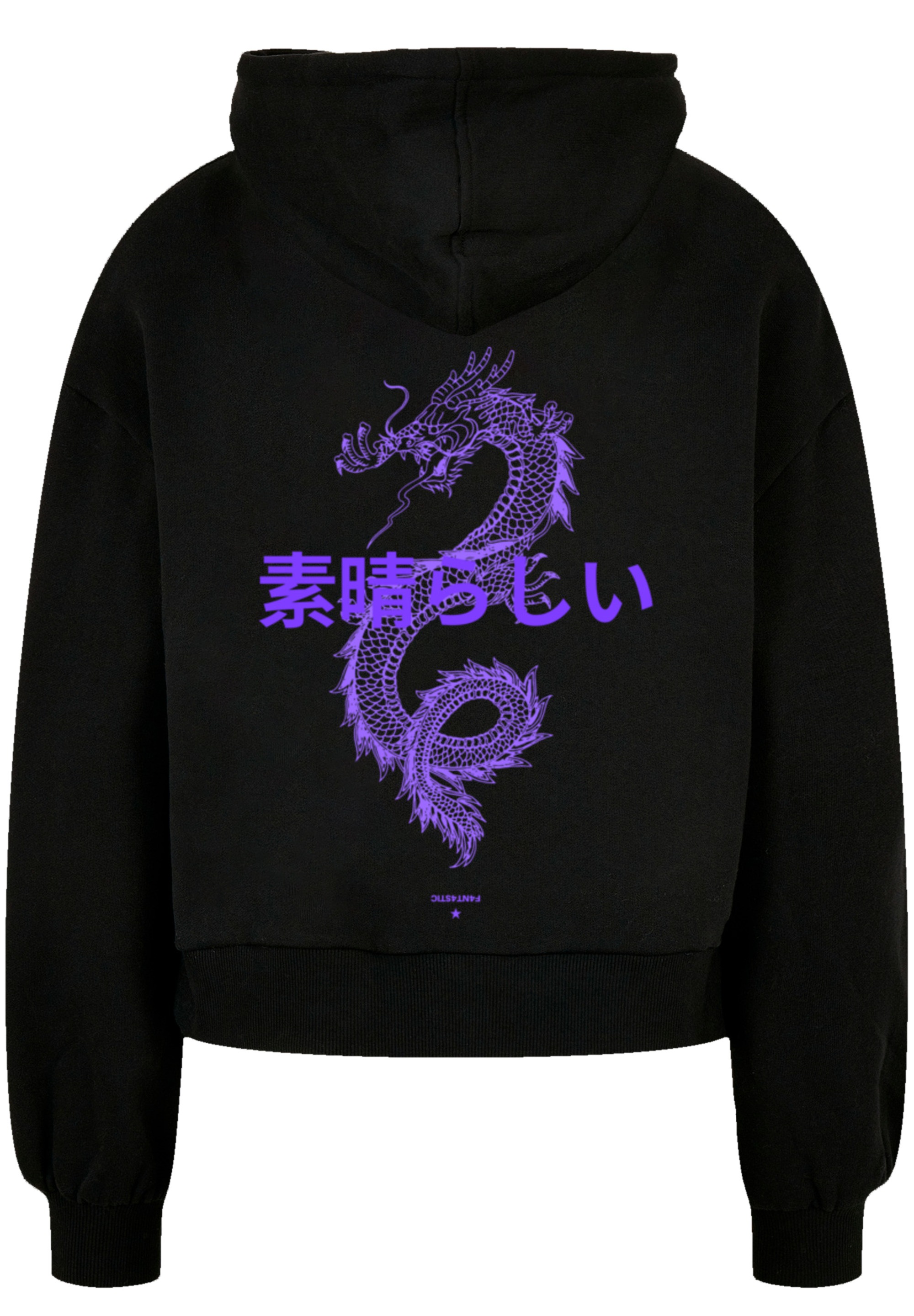 F4NT4STIC Kapuzenpullover »Drache Japan« Print