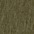 seagrass