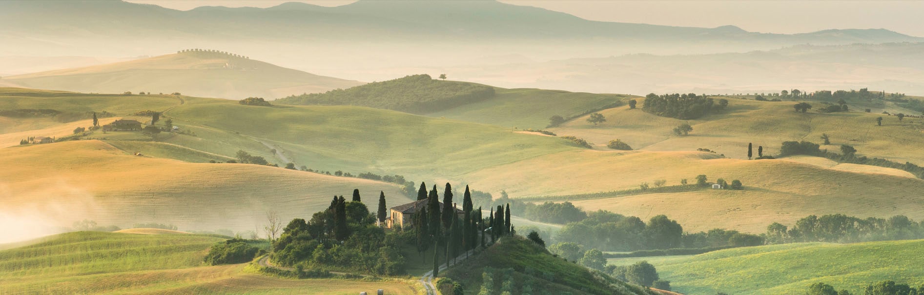 EXPRESS KÜCHEN Küchenrückwand "Toscana", B/H: 180cm x 55,9cm, grün, Spritzschutzwände