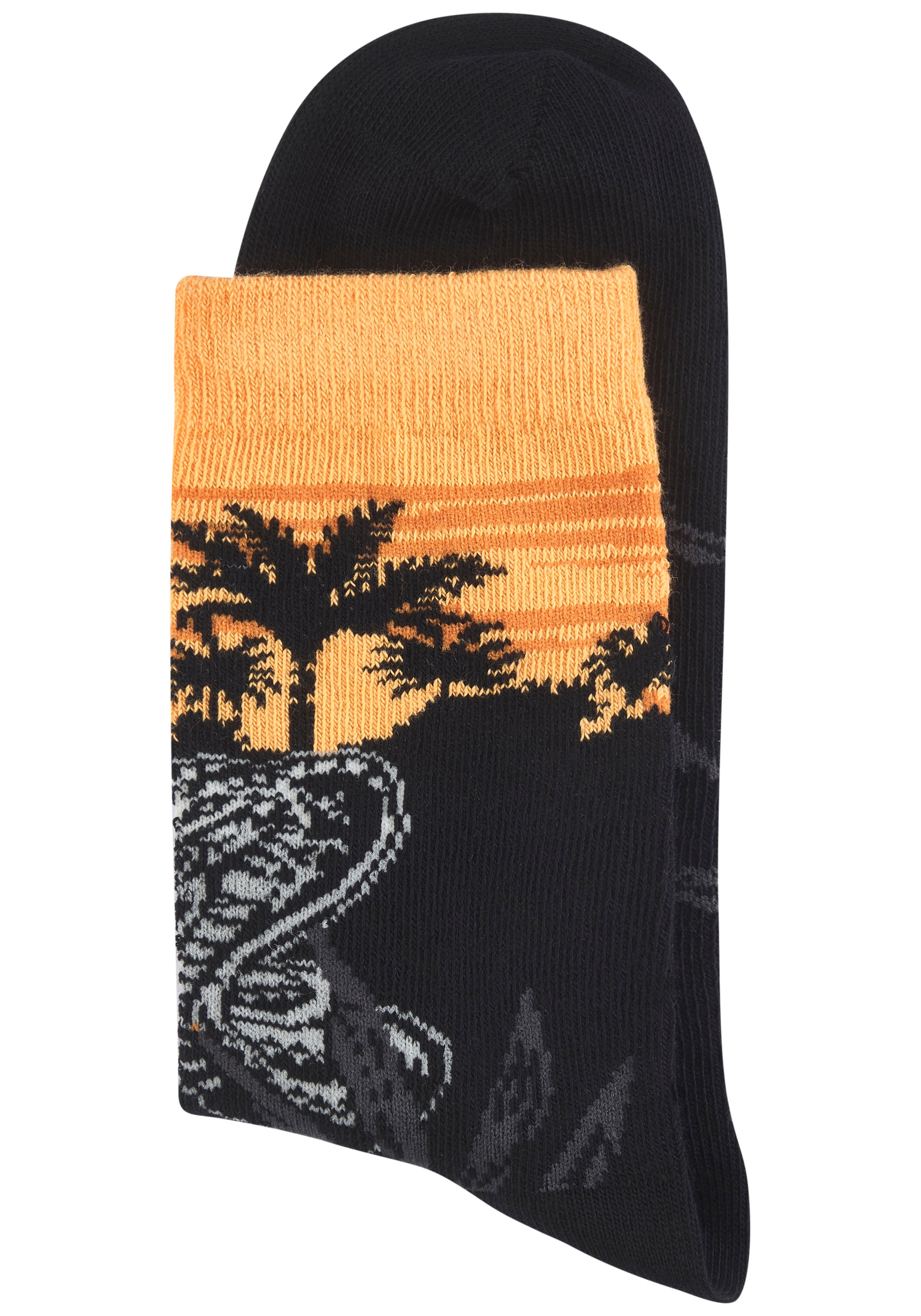 H.I.S Basicsocken Packung, 5 Paar tlg. mit aufwendigen Designs