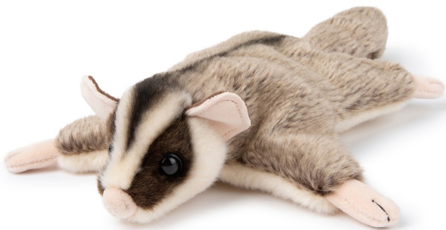 WWF Kuscheltier »Gleithörnchen, 18 cm«, teilweise aus recyceltem Material kaufen