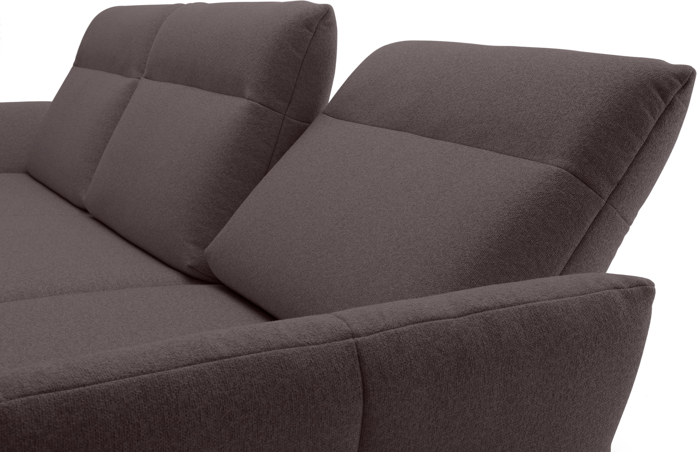 Creation BY ROLF BENZ Ecksofa »CR.460« Sockel in Eiche, Alugussfüße in umbragrau, Breite 298 cm