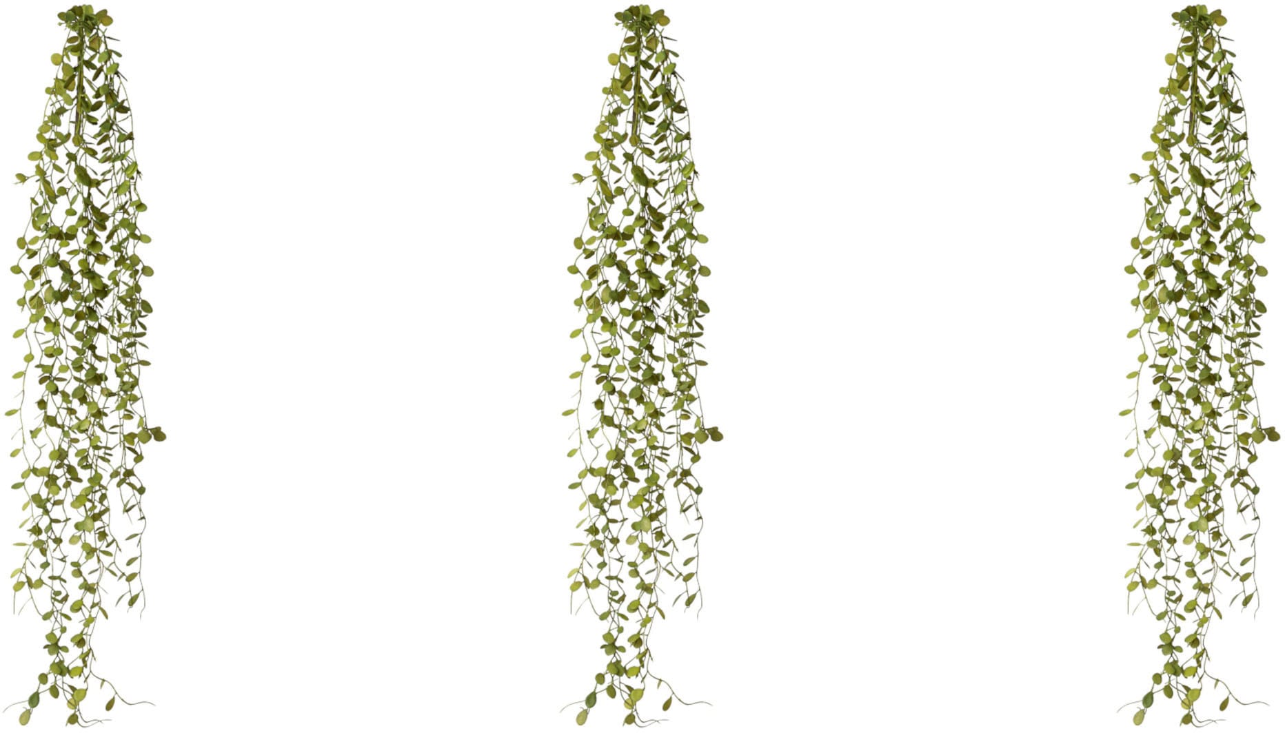 Creativ green Kunstranke »Mühlenbeckia-Hänger«, (3 St.) kaufen