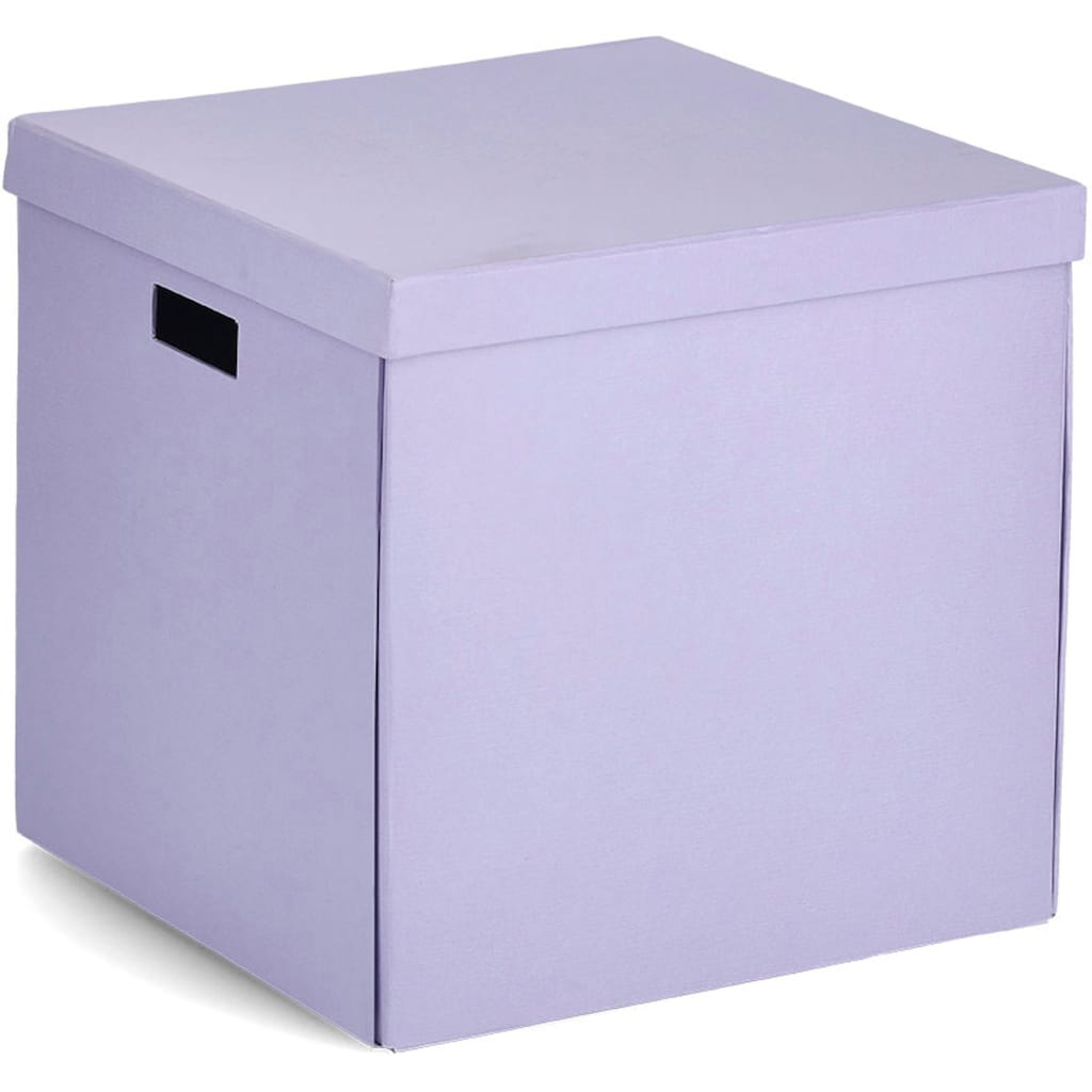 Zeller Present Aufbewahrungsbox, (1 St.)
