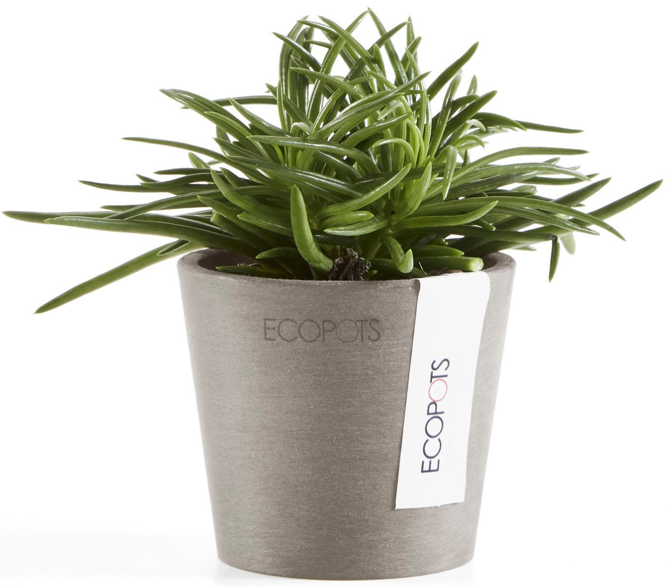 ECOPOTS Blumentopf »Amsterdam Mini 8 Taupe« für den Innenbereich