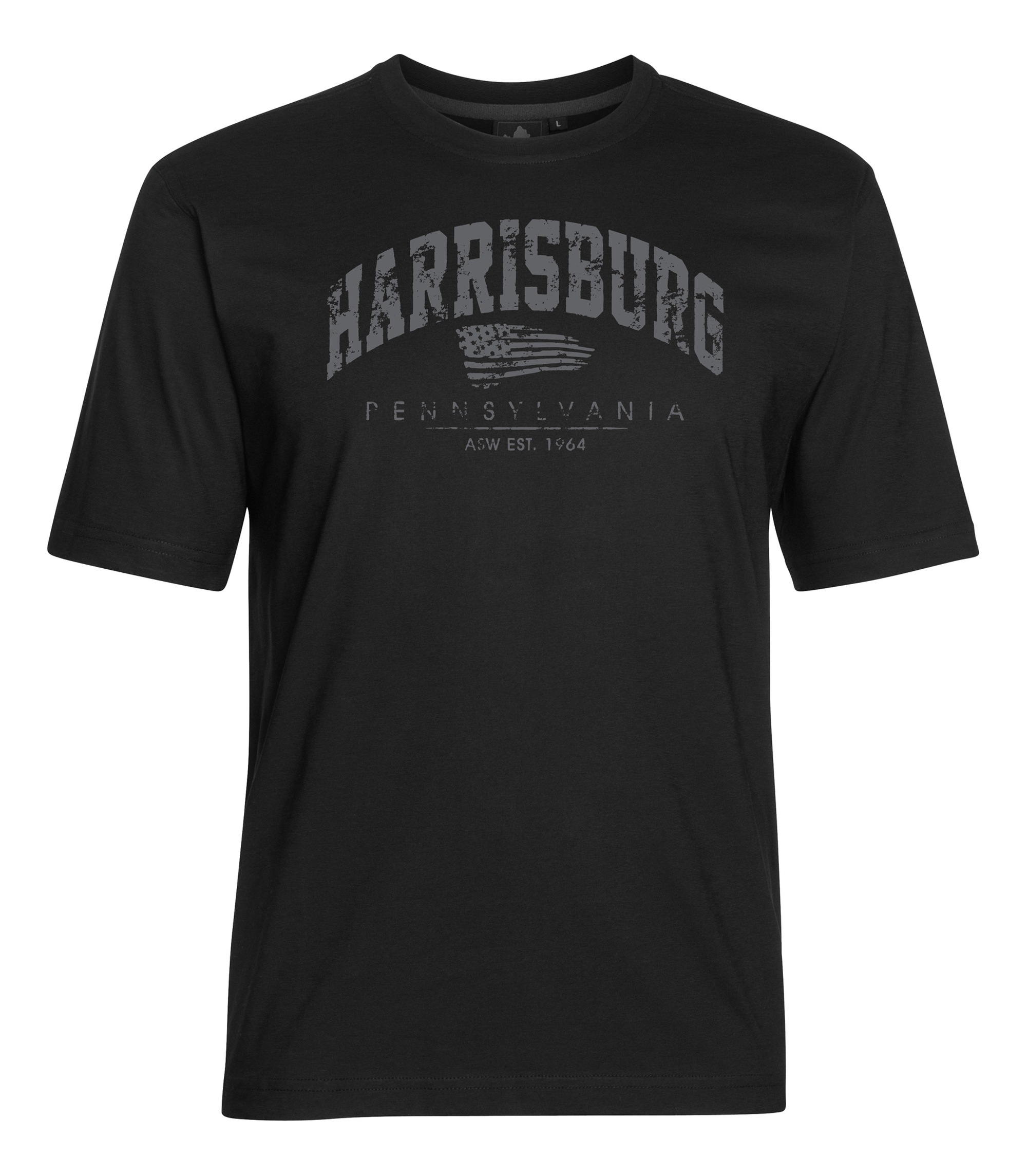 AHORN SPORTSWEAR T-Shirt "HARRISBURG", mit modischem Print günstig online kaufen