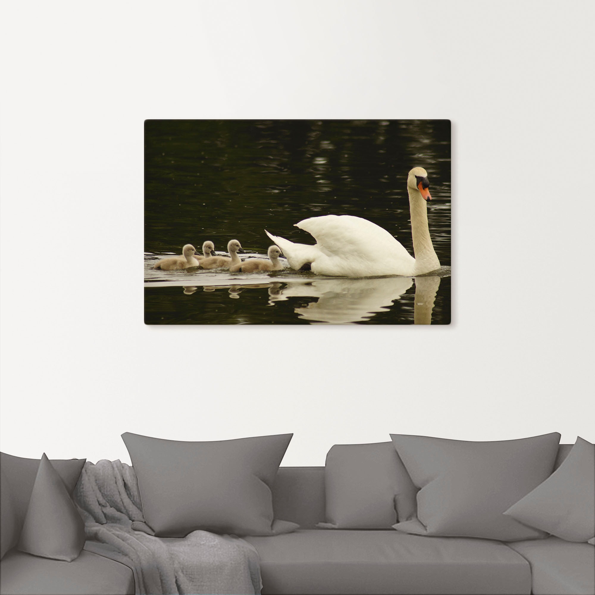 Artland Wandbild »Schwanen Familie«, Schwanen Bilder, (1 St.), als Alubild, Leinwandbild, Wandaufkleber oder Poster in versch. Größen