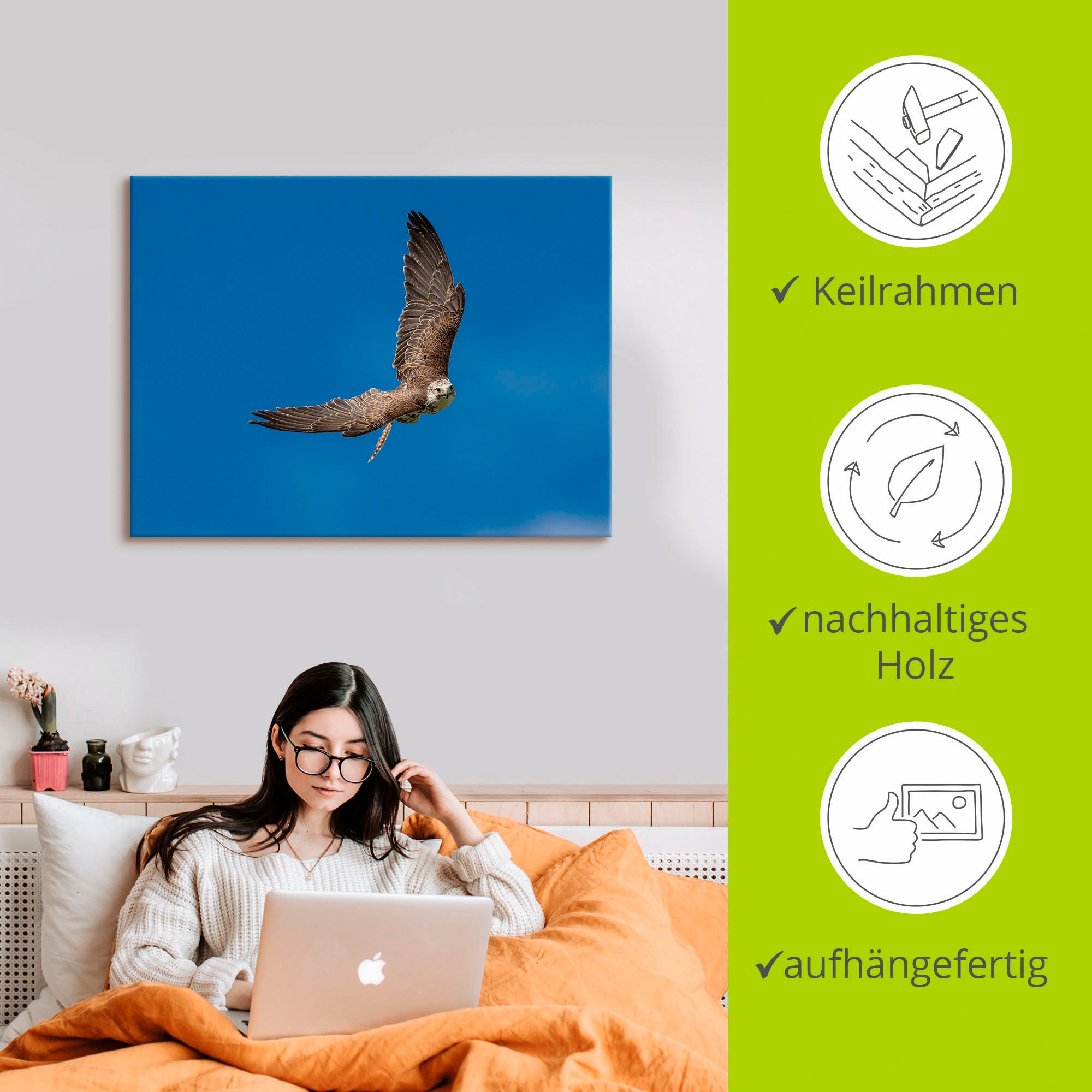Artland Wandbild »Der Falke«, Vögel, (1 St.), als Leinwandbild, Poster in verschied. Größen