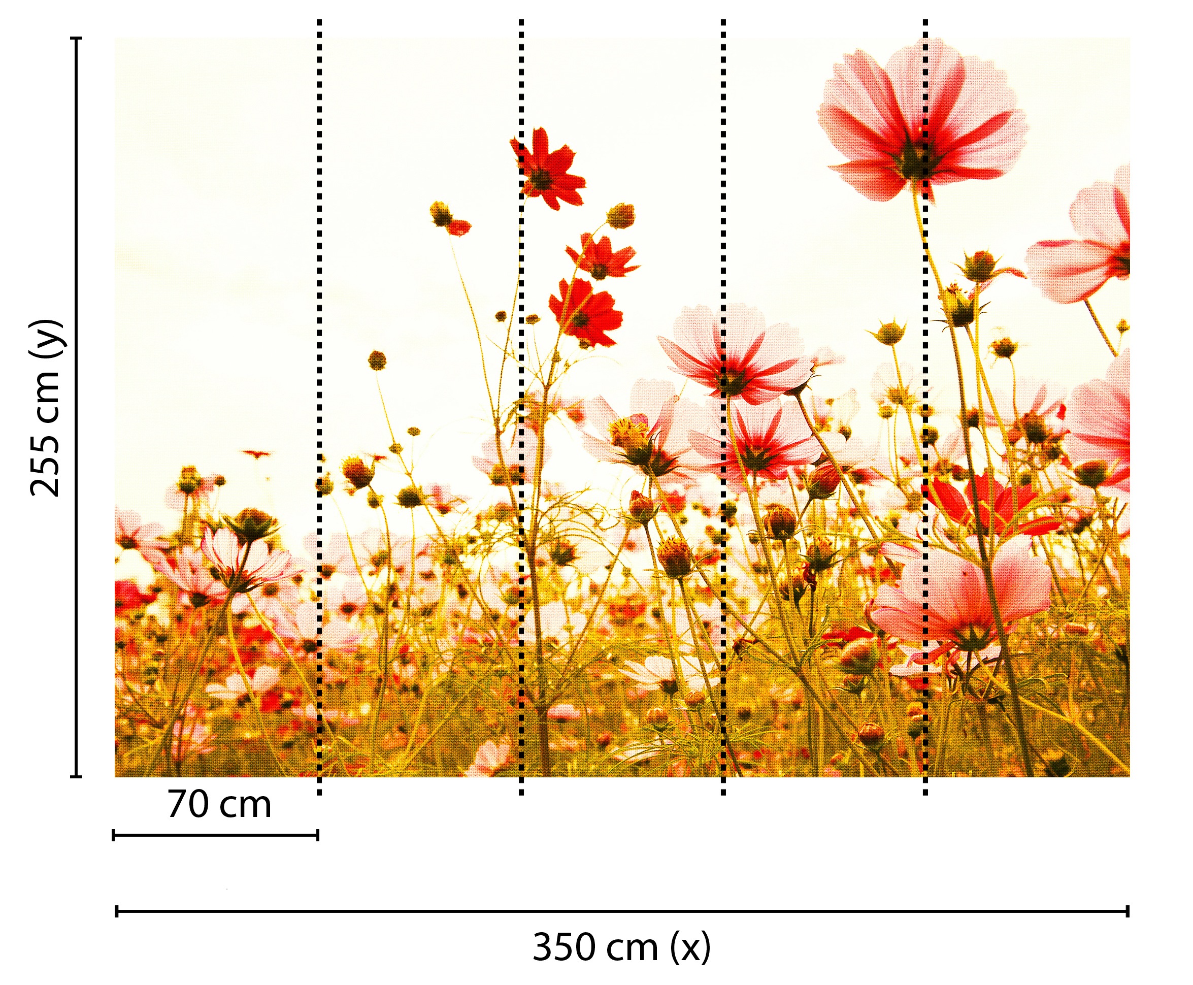 living walls Fototapete »Designwalls Flower Meadow 2« glatt Vlies, Wand, Schräge, Decke