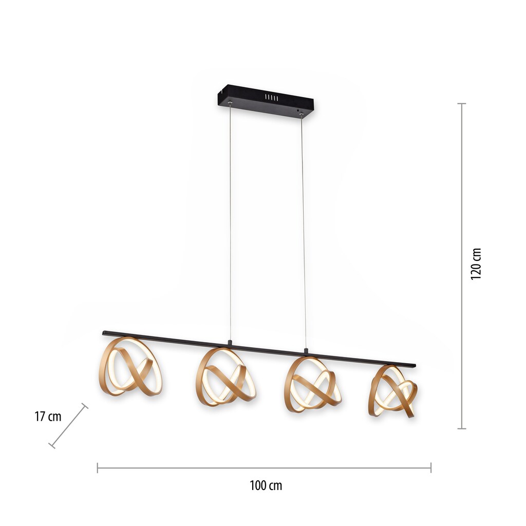 Paul Neuhaus Pendelleuchte »LOOP«, 4 flammig-flammig