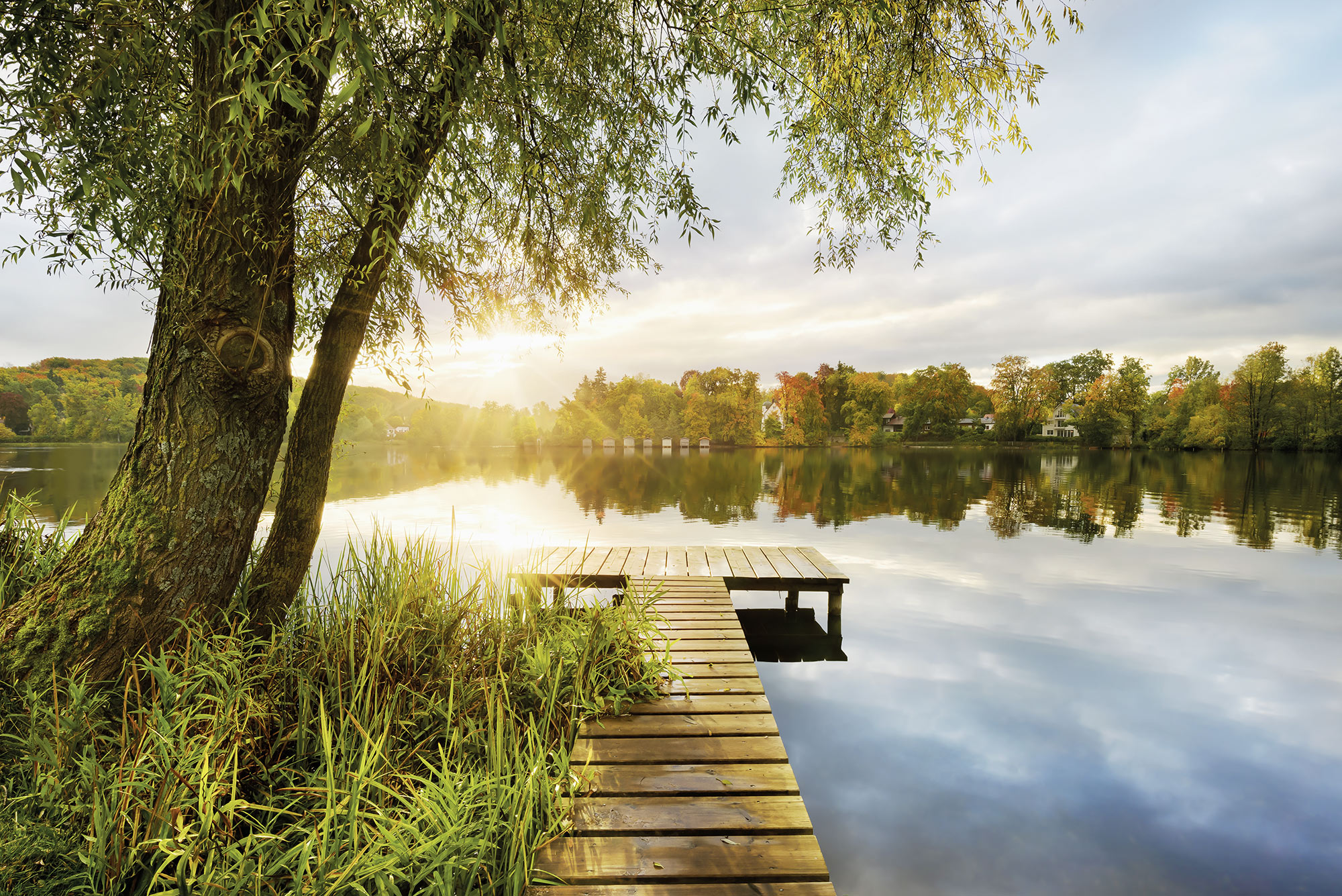 Komar Fototapete "Vlies - Picnic - Größe 368 x 248 cm" bedruckt glatt Wohnzimmer, Schlafzimmer