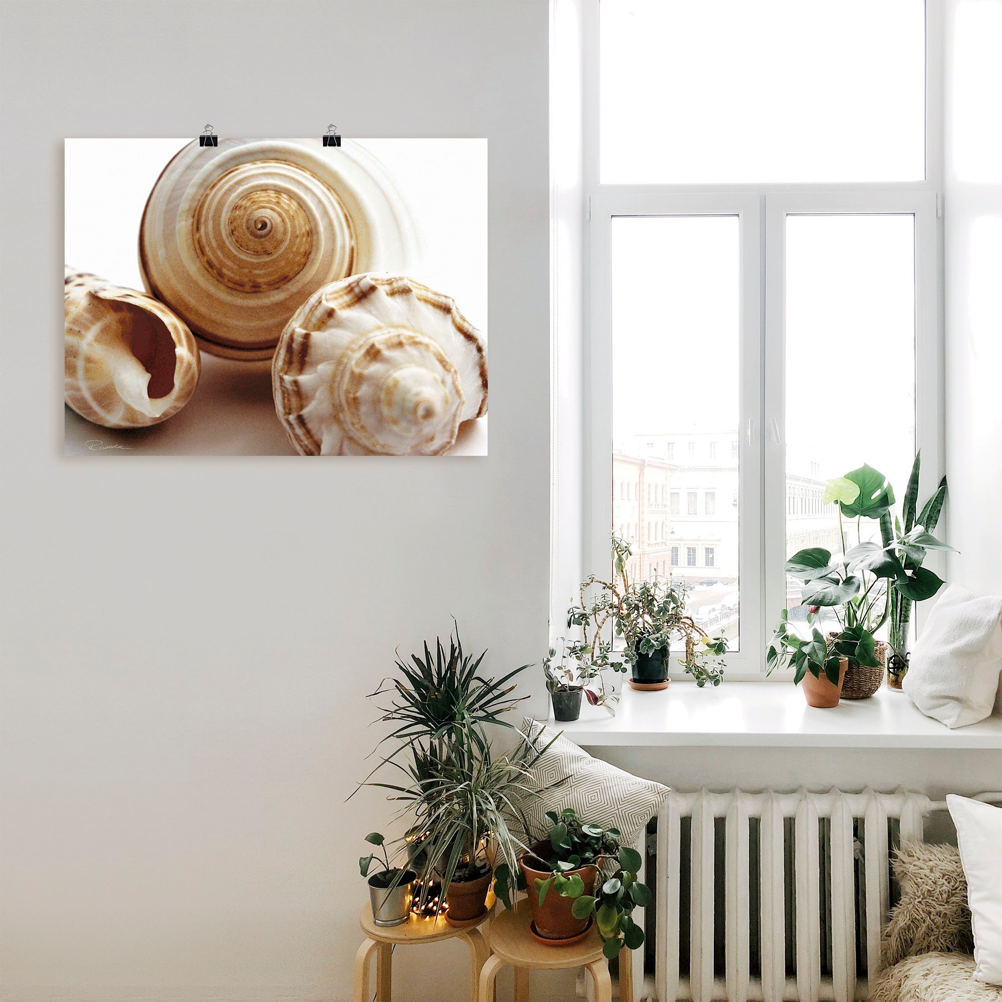 Artland Wandbild "Muschelkomposition I", Wassertiere, (1 St.), als Leinwand günstig online kaufen