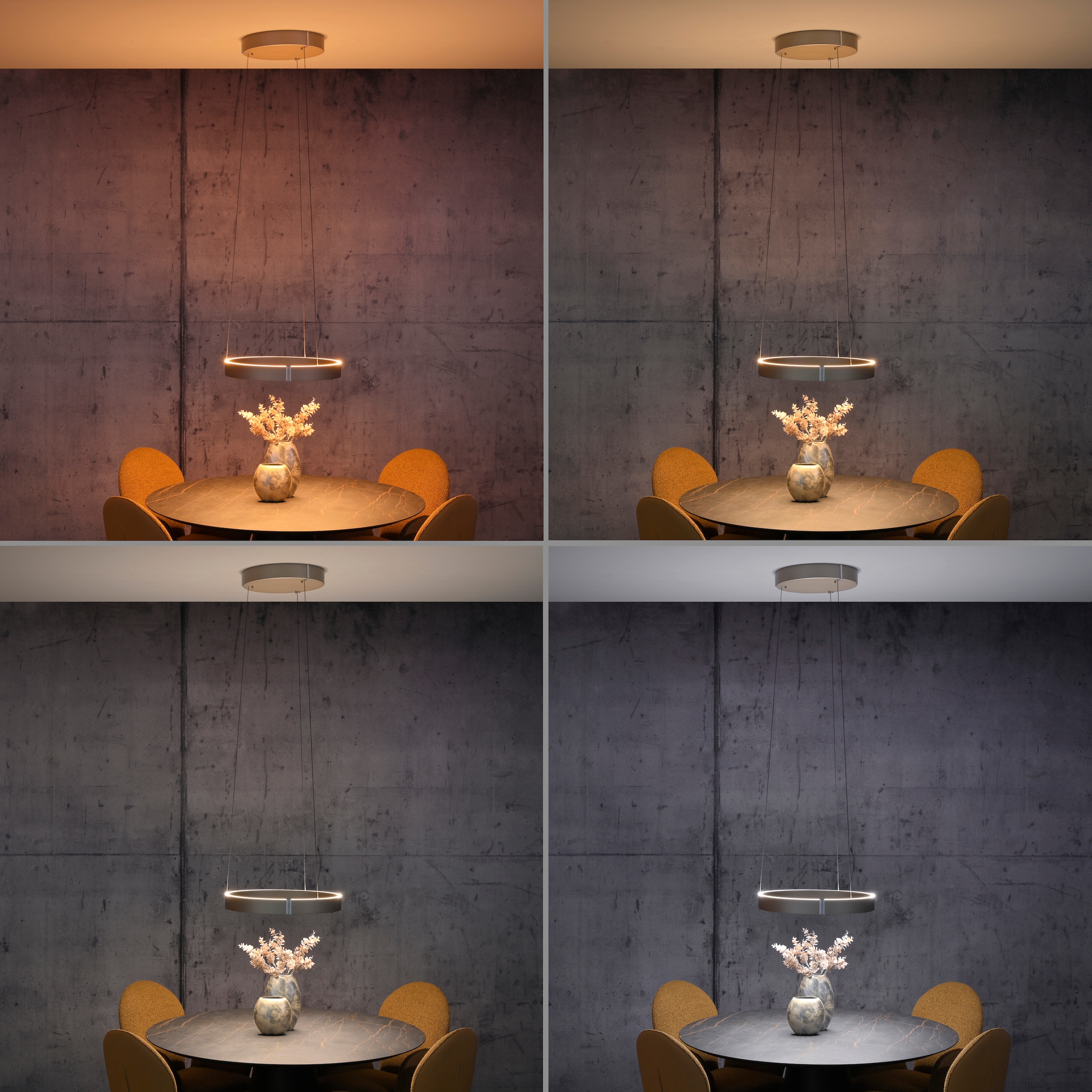 Neuhaus PURE LED Pendelleuchte »PURE E-Clipse« LED-Board 1 Stk. warmweiß - kaltweiß e-LIFT®-Funktion, CCT, dimmbar über Fernbedíenung