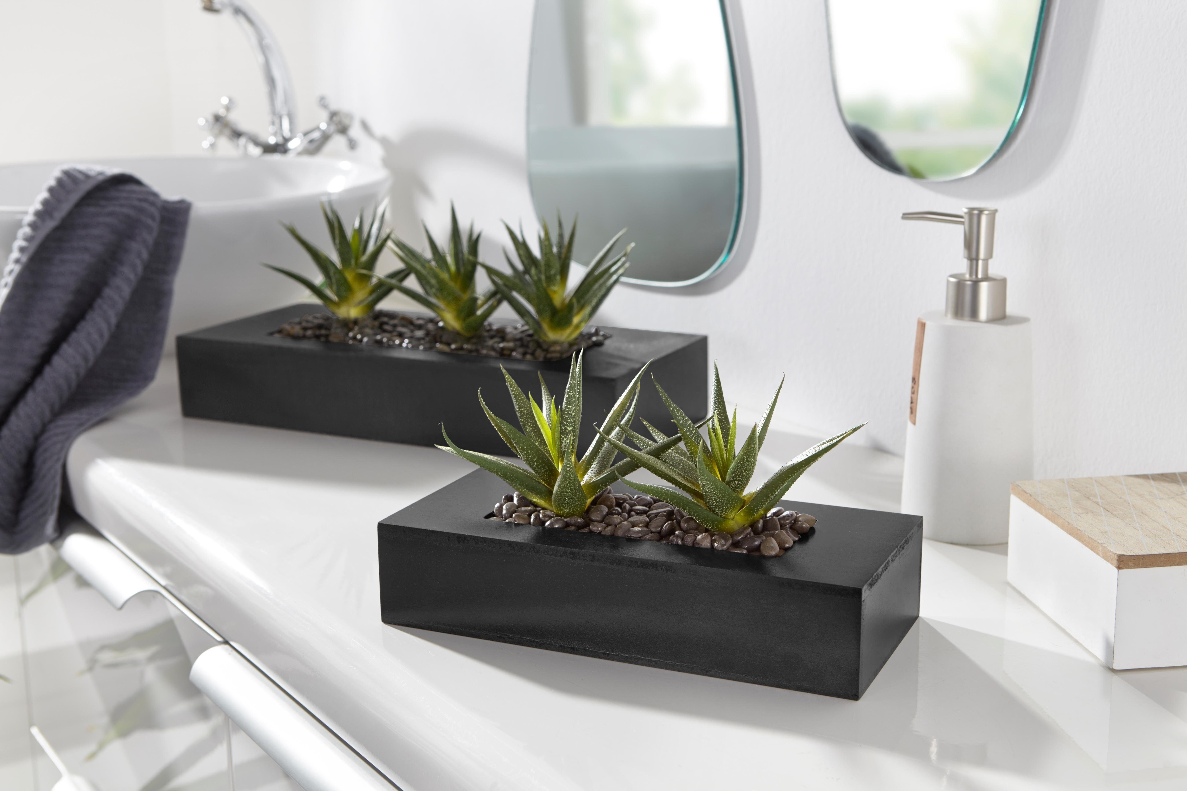 OTTO home Kunstkaktus "Agaven" Kunstpflanzen-Arrangement in zwei Größen in schöner Holzschale