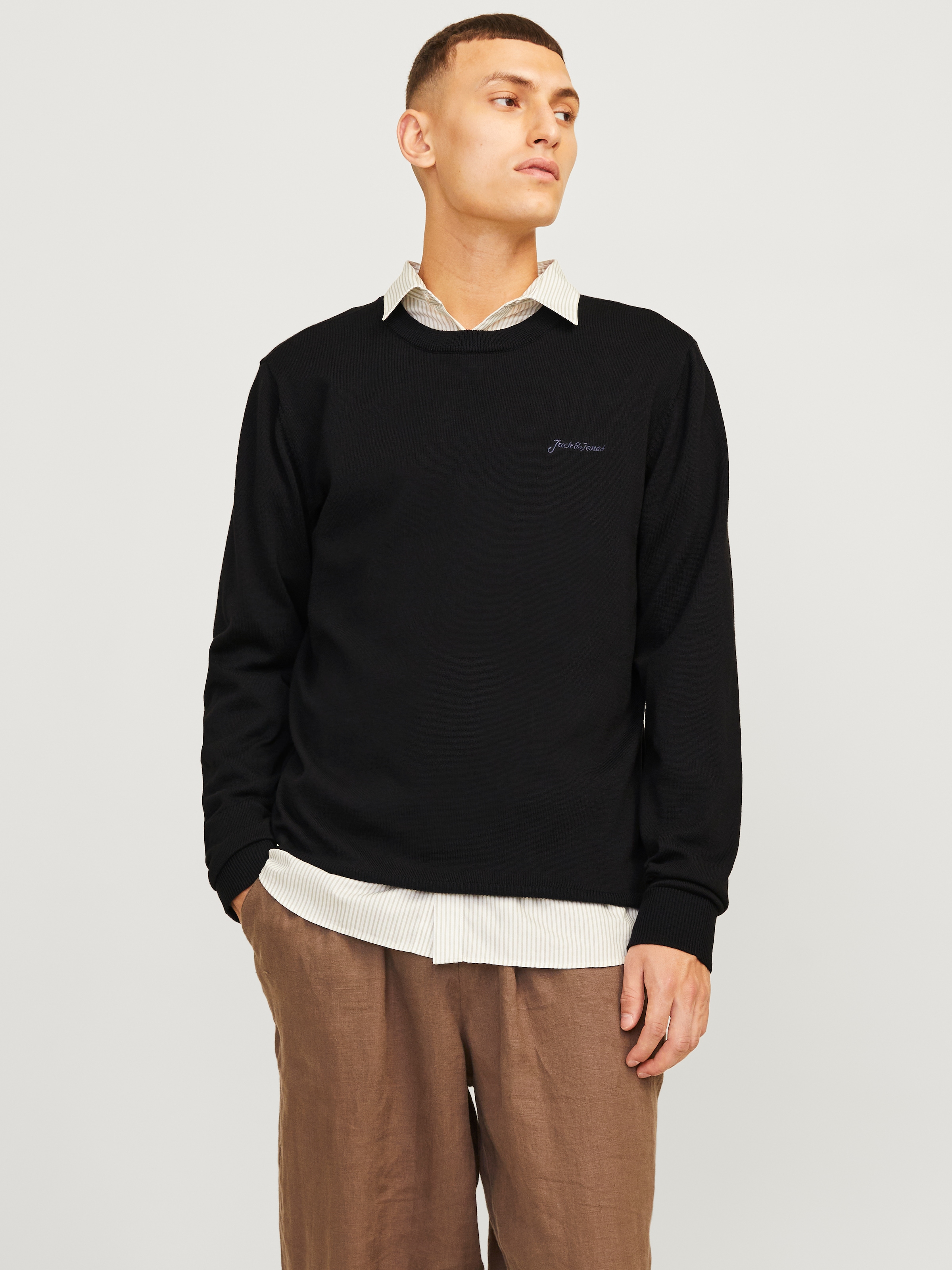 Jack & Jones Rundhalspullover »JJBRAD KNIT CREW NECK AW24«