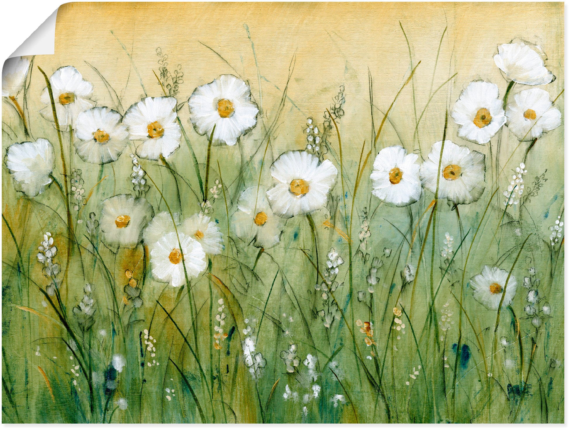 Wandbild »Gänseblümchenfrühling II«, Blumen, (1 St.), als Alubild, Outdoorbild,...