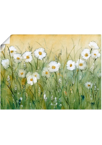 Wandbild »Gänseblümchenfrühling II«, Blumen, (1 St.)