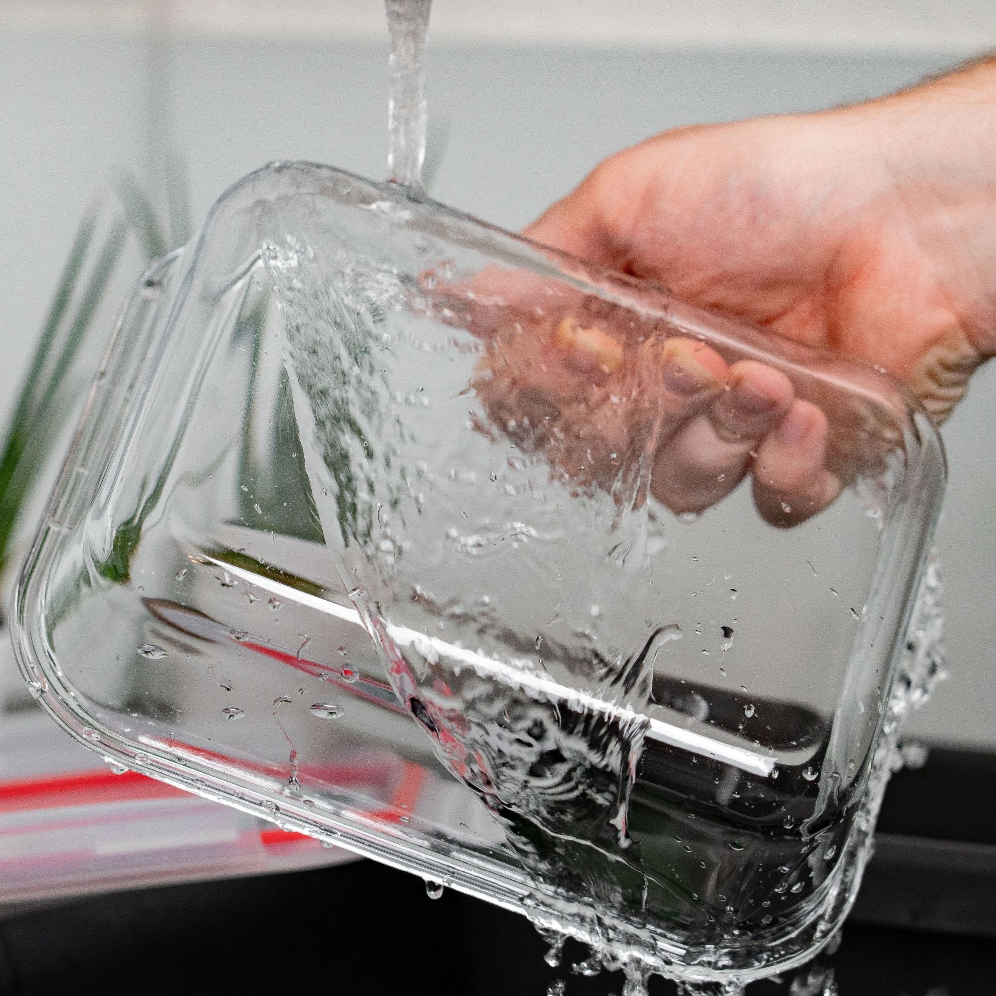 WESTMARK Frischhaltedose »Glas-Frischhaltedose, 1520 ml«, (1 tlg.), mikrowellen- und ofenfest