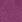 fuchsia fuchsia