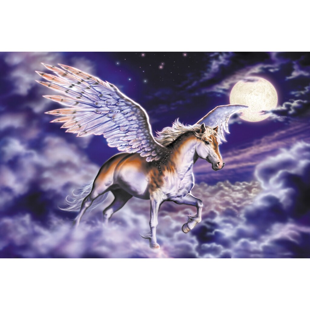 Papermoon Fototapete »Pegasus«