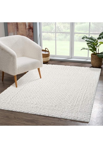 Carpet City Ilgo plauko kilimas »FOCUS627« rechtec...