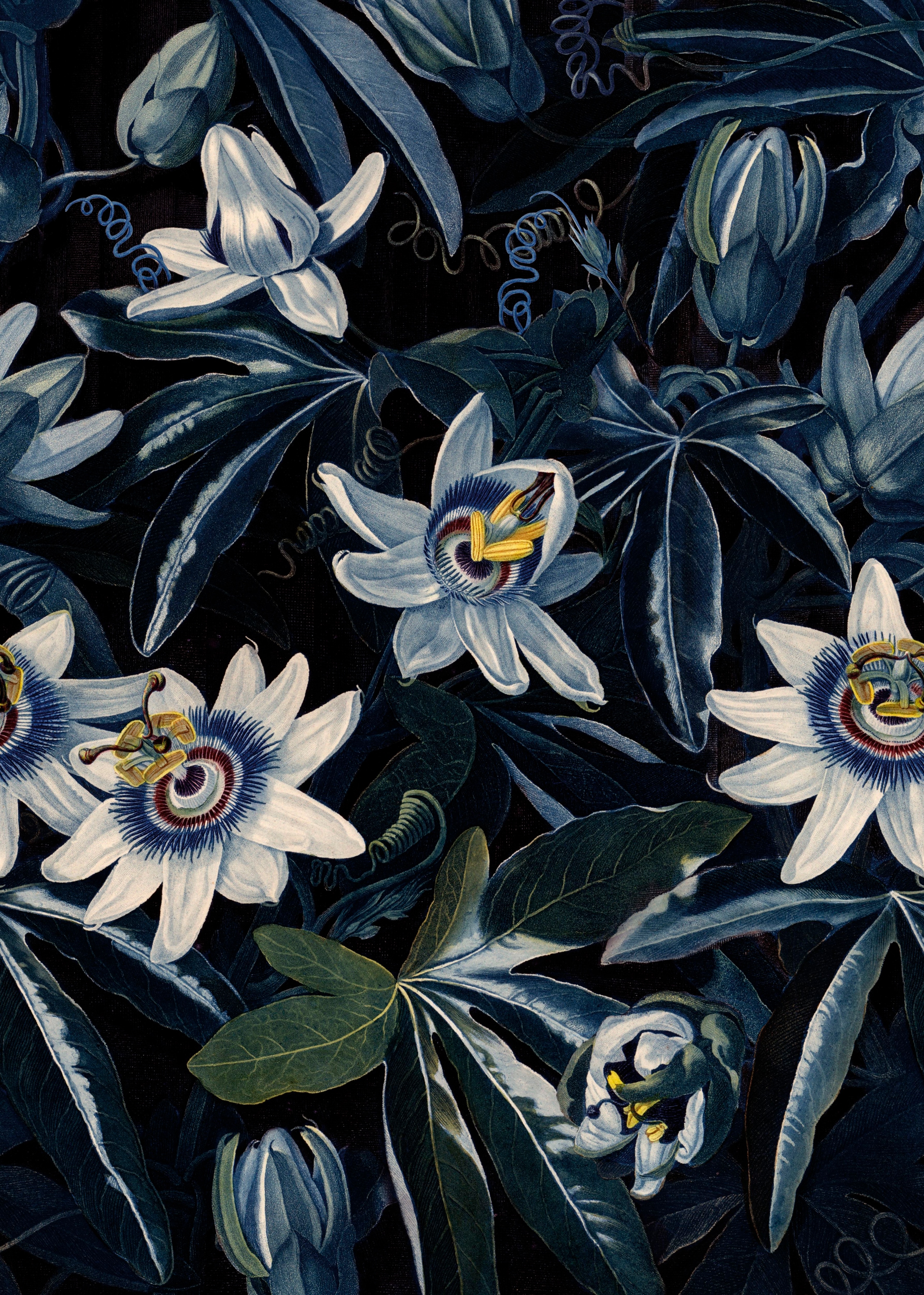Art for the home Fototapete "Blumenmeer" geblümt glatt Blumenmeer Passionsblume280x200 cm